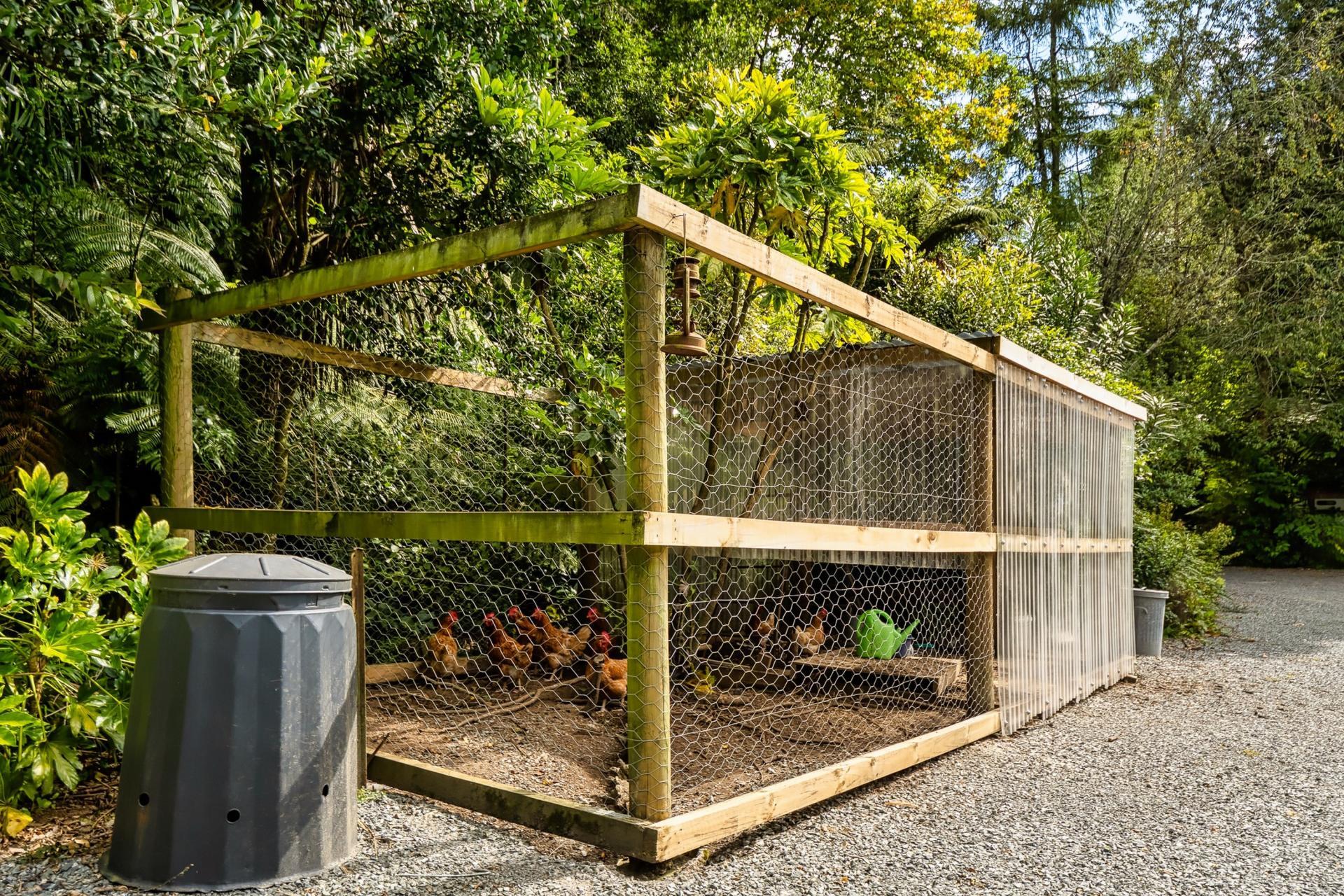 Soldiers Road, Lower Kaimai
