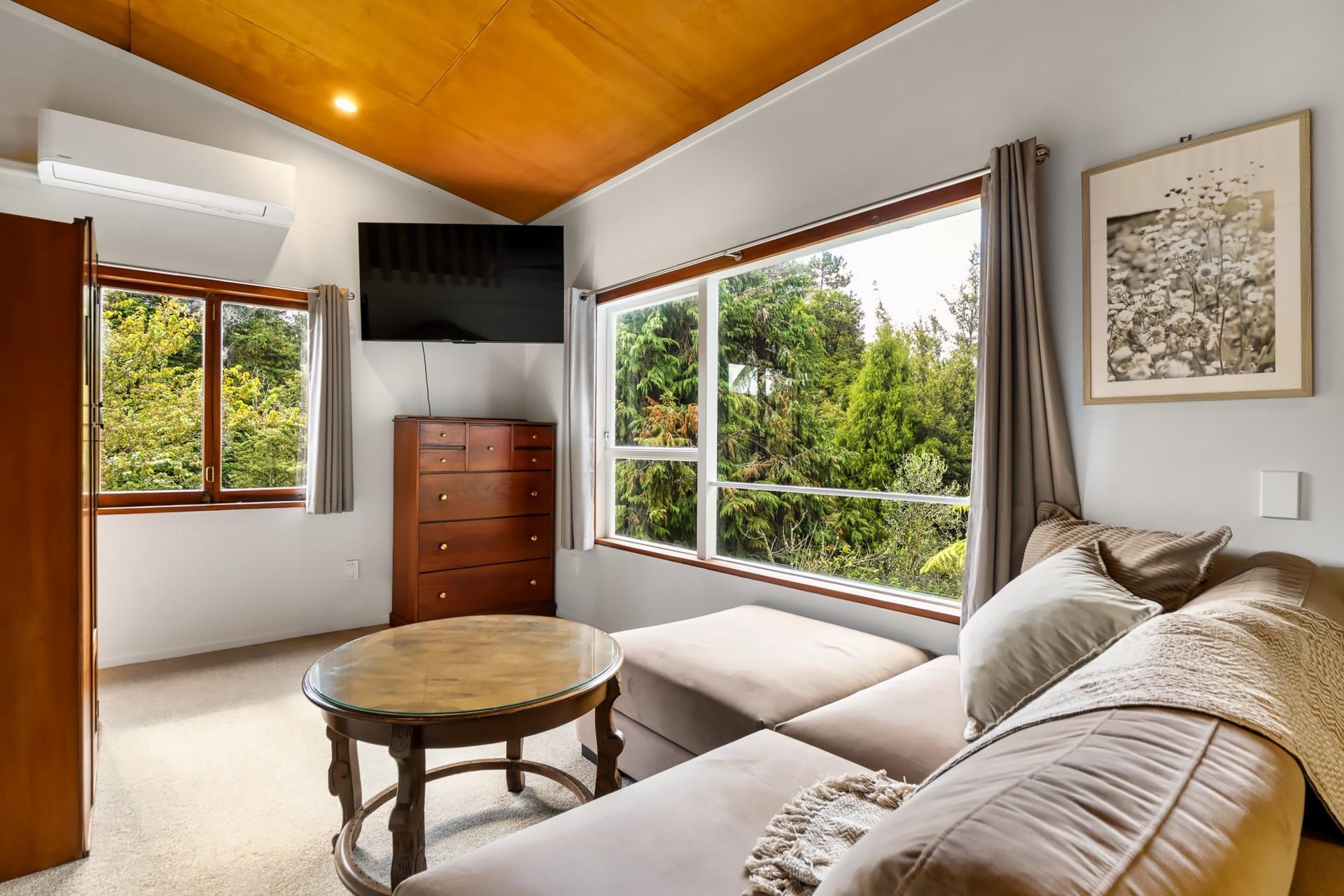 Soldiers Road, Lower Kaimai