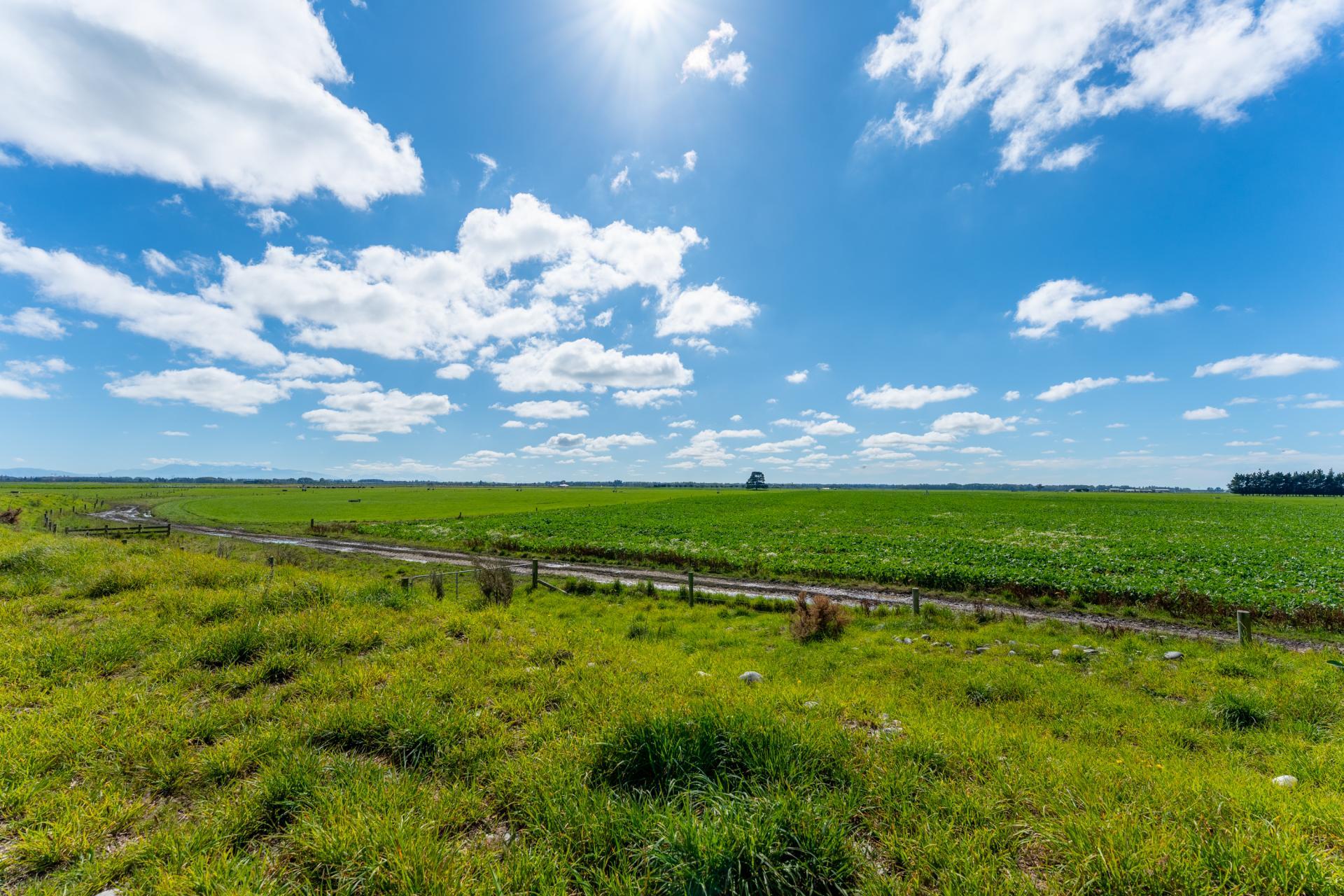 Rangitata Orari Bridge Highway, Rangitata