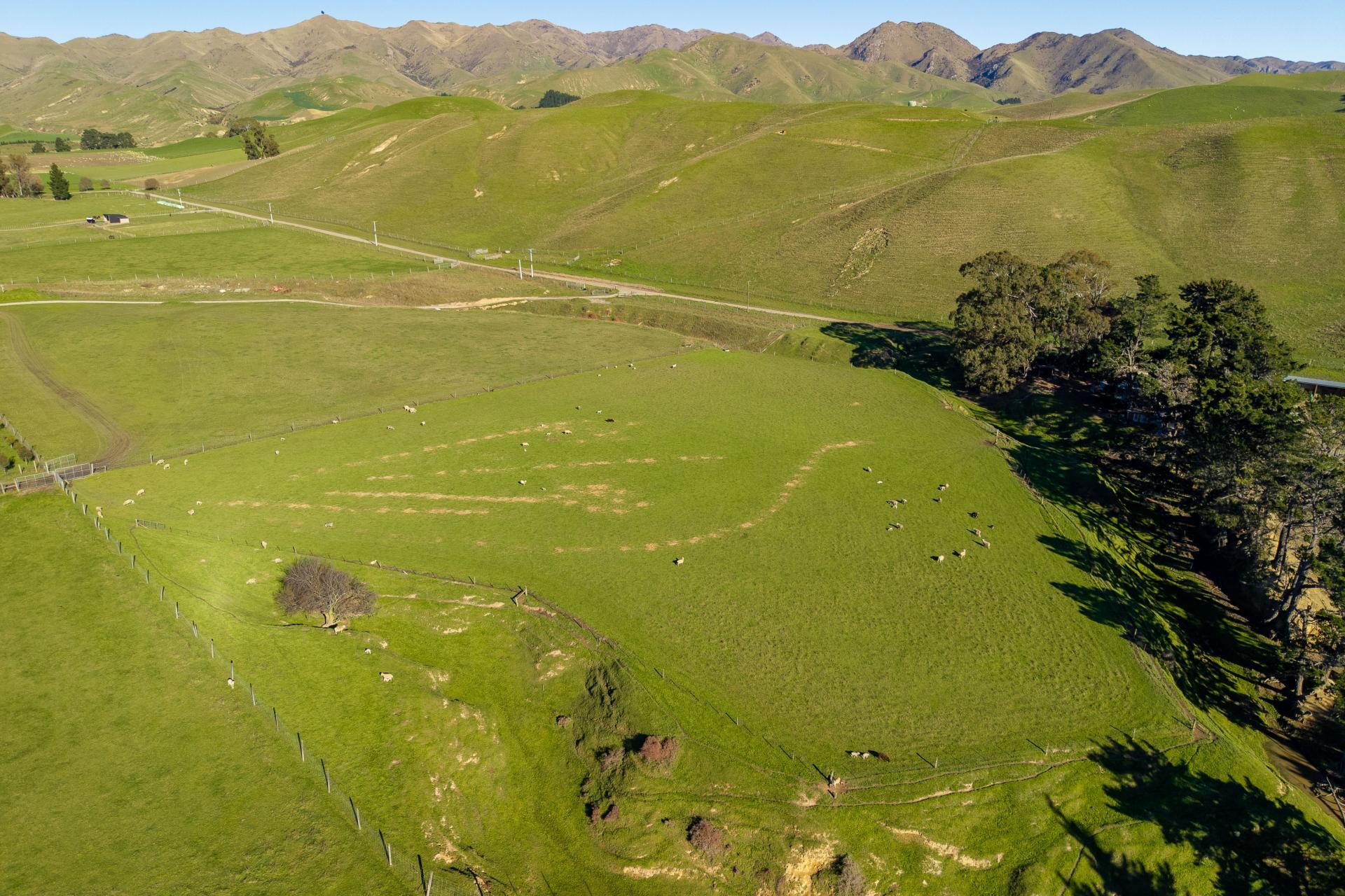 453 Tetley Brook Road, Seddon