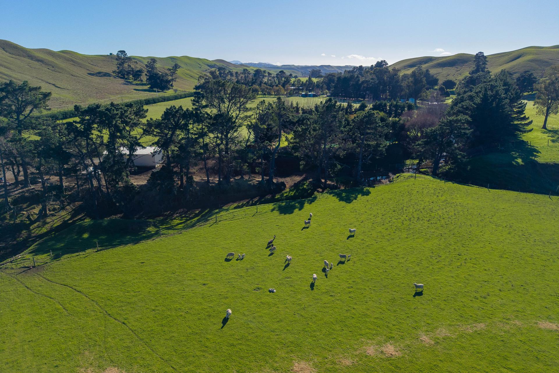 453 Tetley Brook Road, Seddon