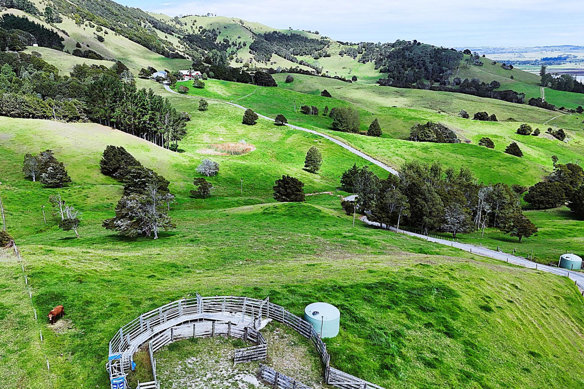 136 Whakahara Road, Dargaville