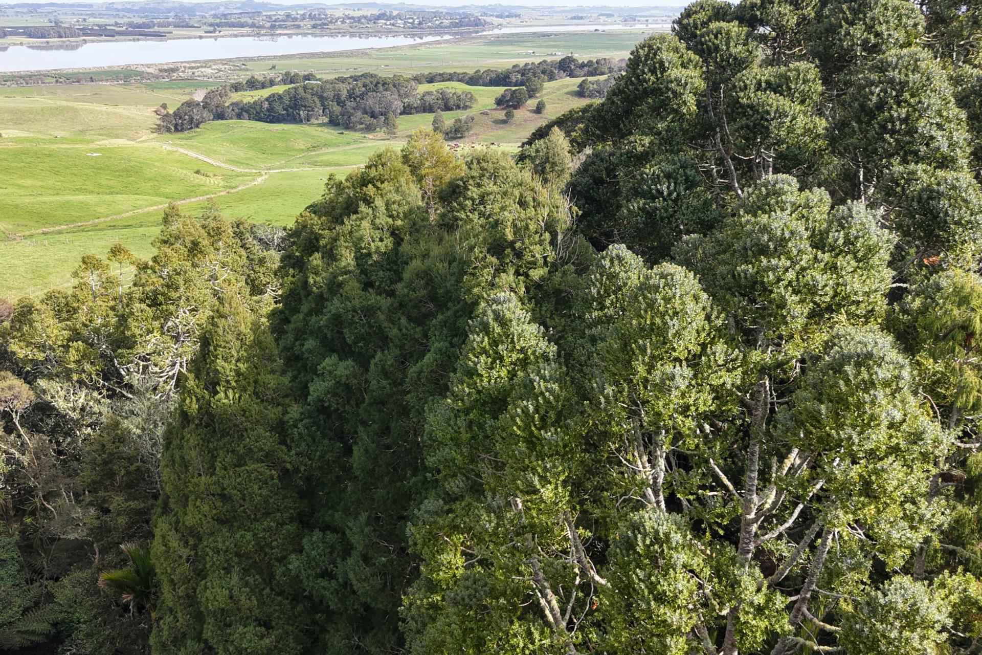 136 Whakahara Road, Dargaville