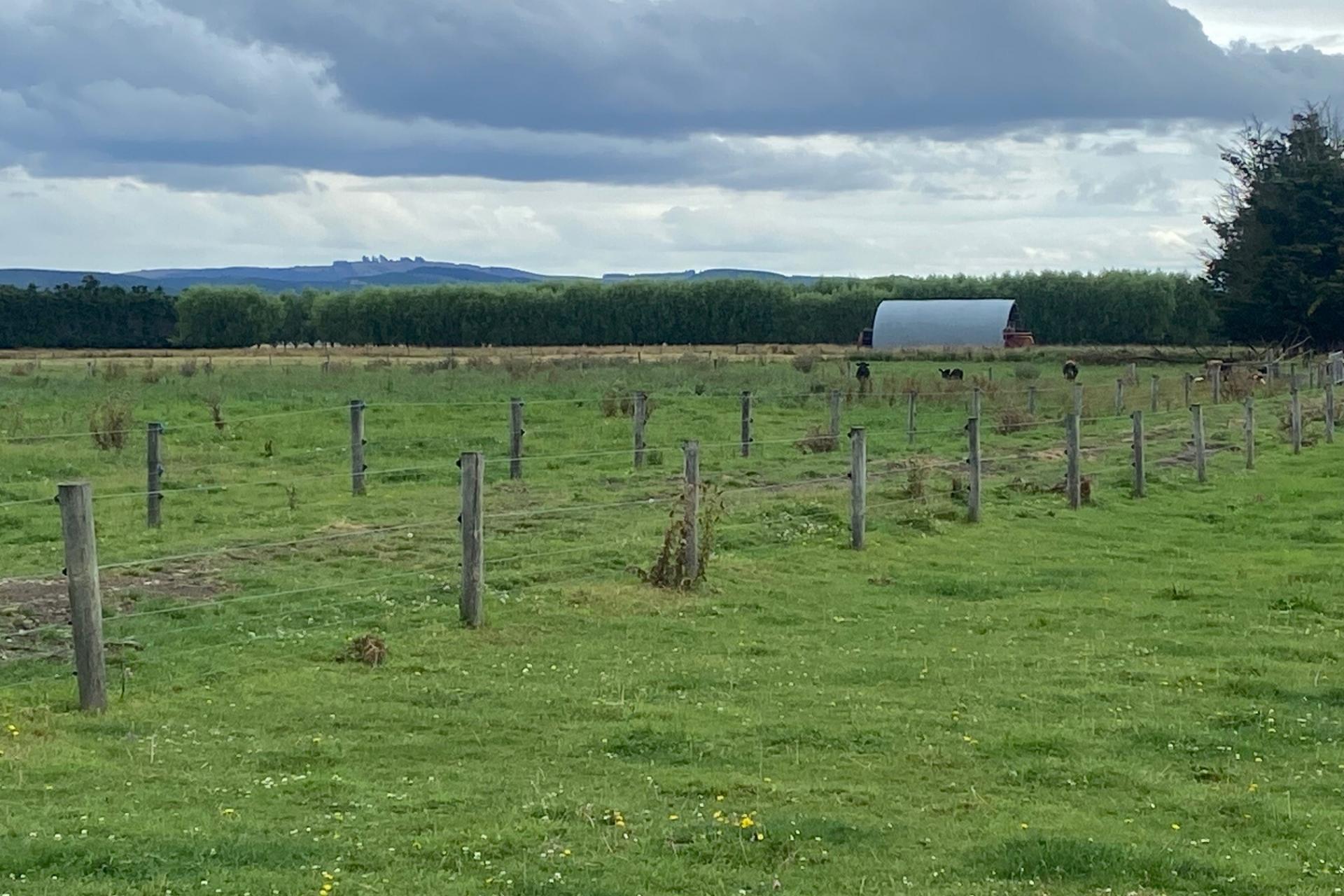 137 and 179 Kirks Drain Road, Momona