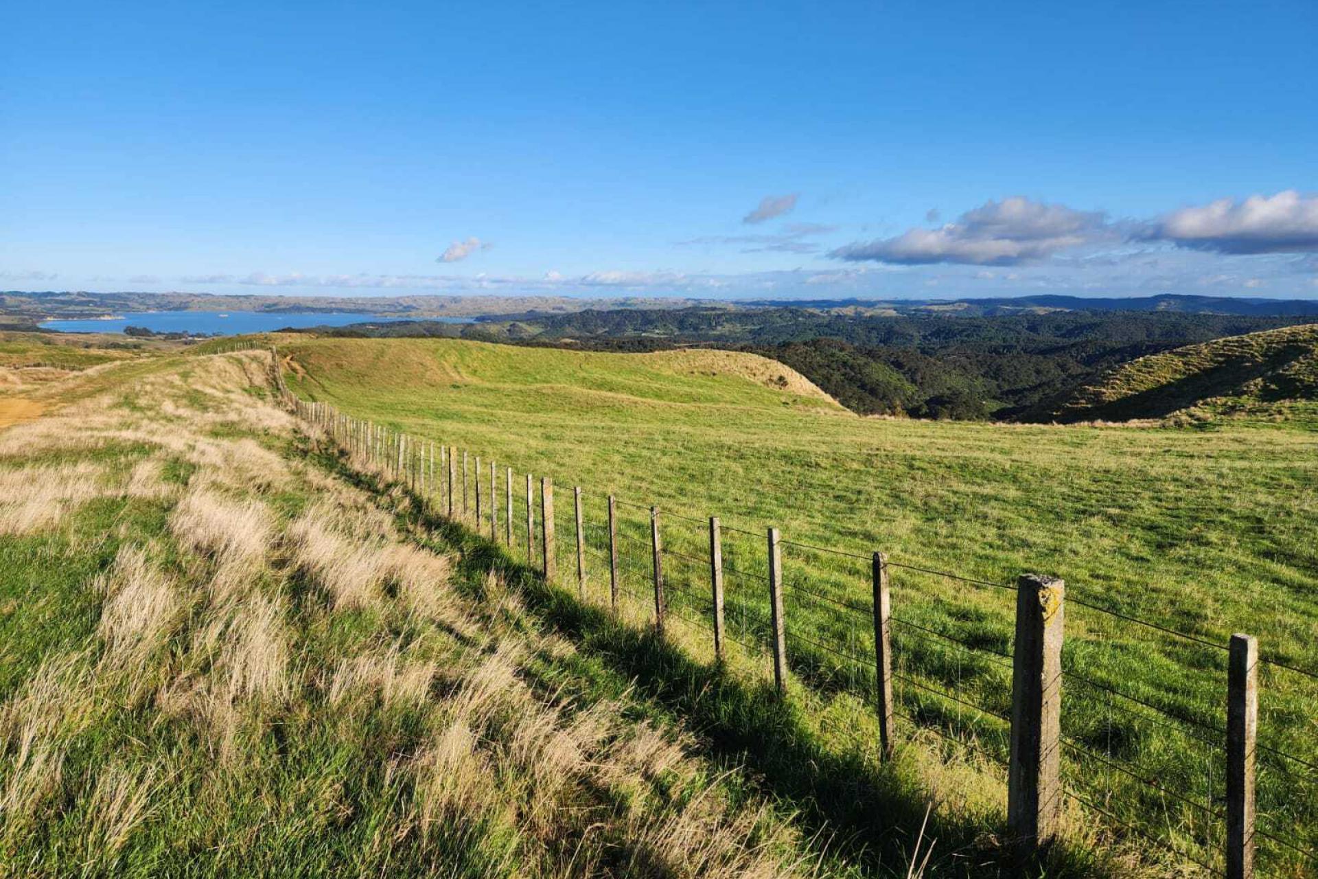 319 Ohautira Road, Raglan