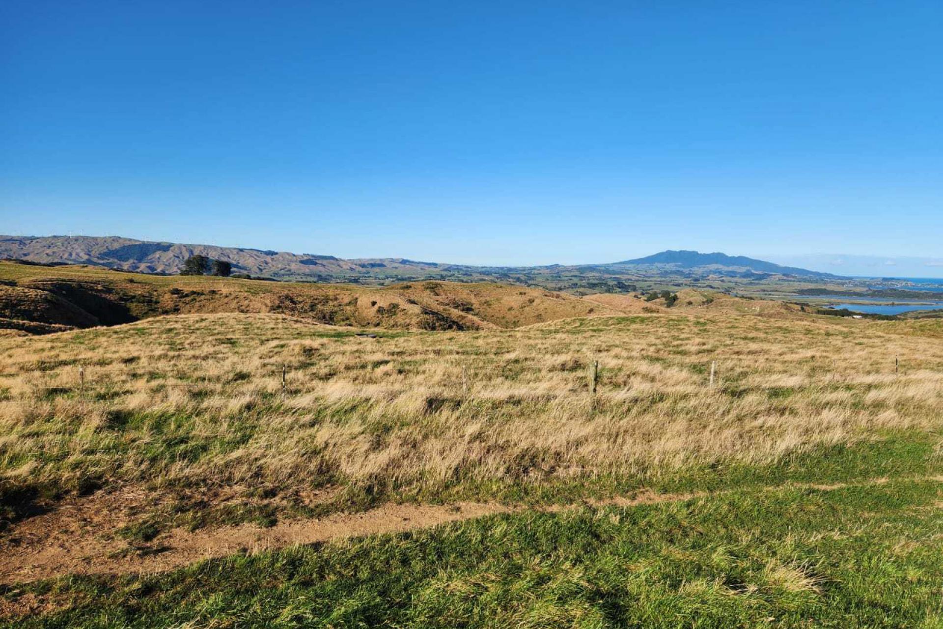 319 Ohautira Road, Raglan