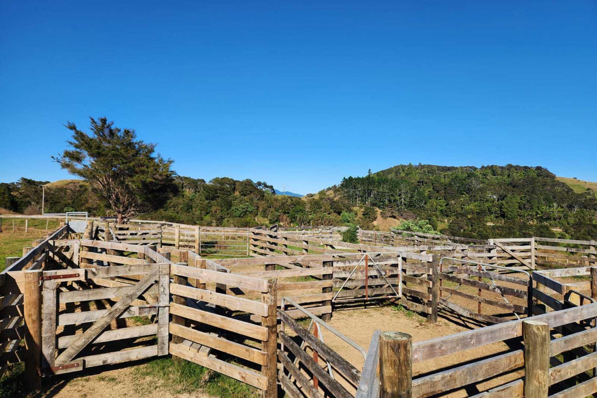319 Ohautira Road, Raglan