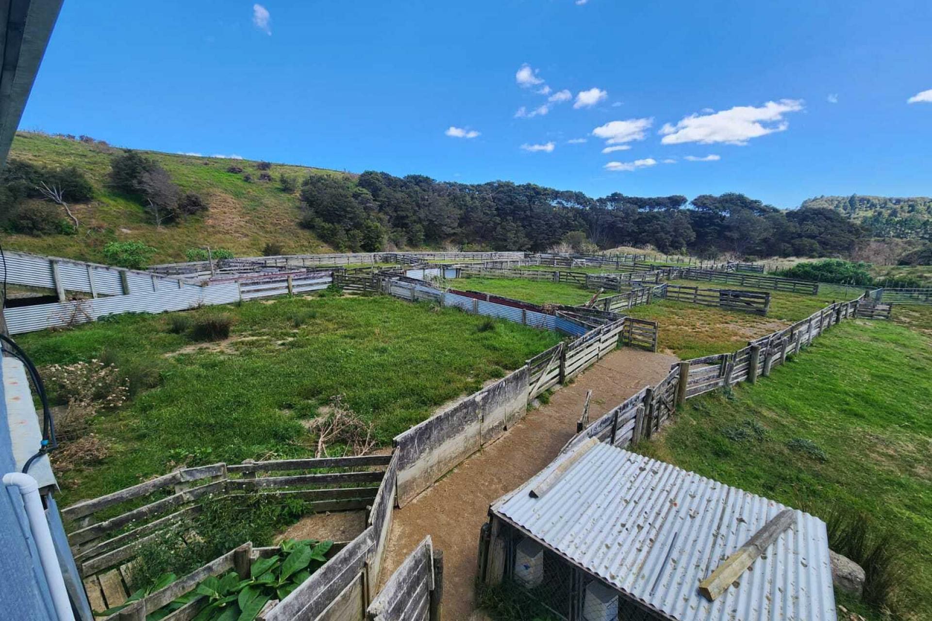 319 Ohautira Road, Raglan