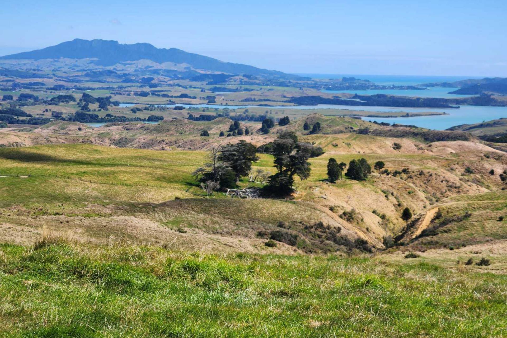 319 Ohautira Road, Raglan