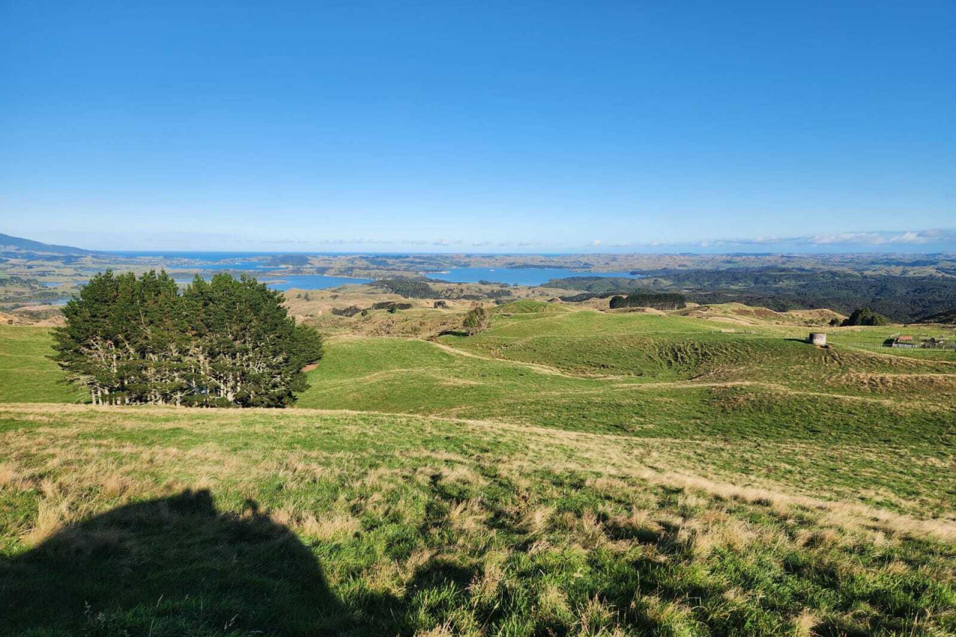 319 Ohautira Road, Raglan