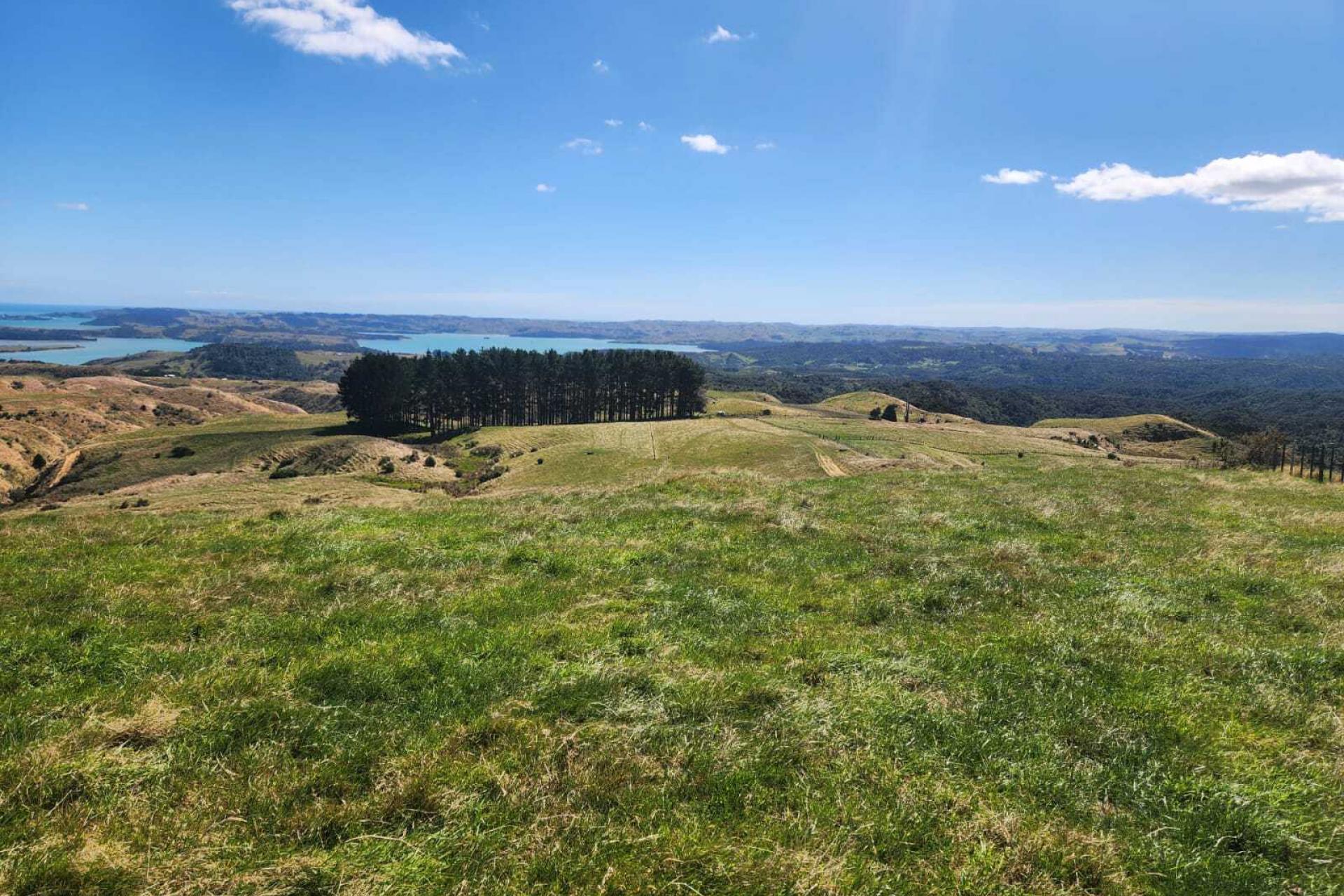 319 Ohautira Road, Raglan