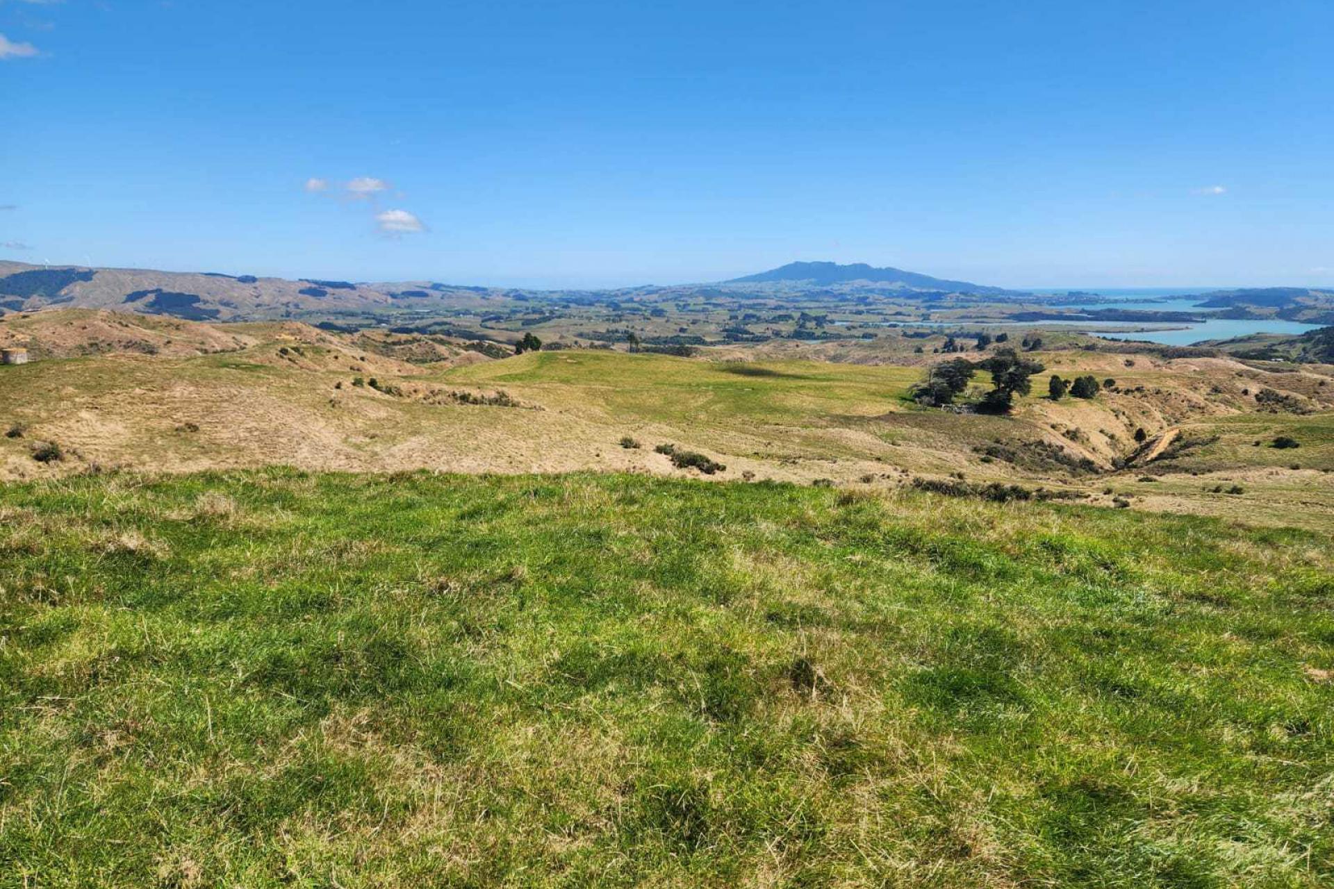 319 Ohautira Road, Raglan