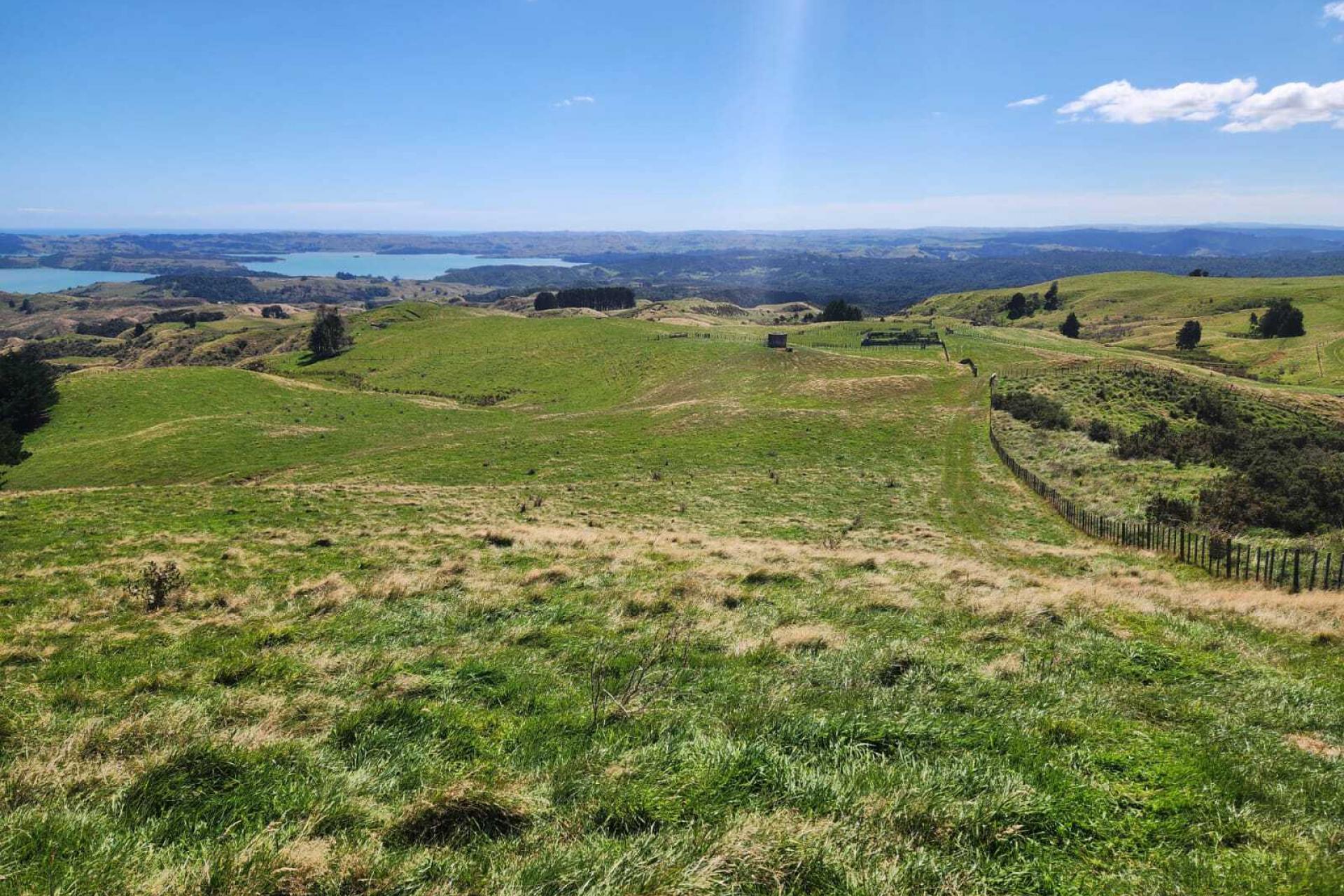 319 Ohautira Road, Raglan