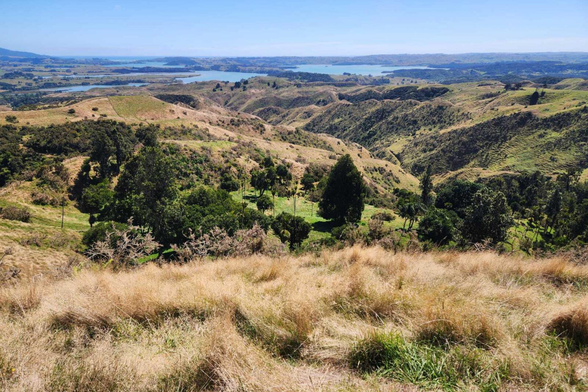 319 Ohautira Road, Raglan