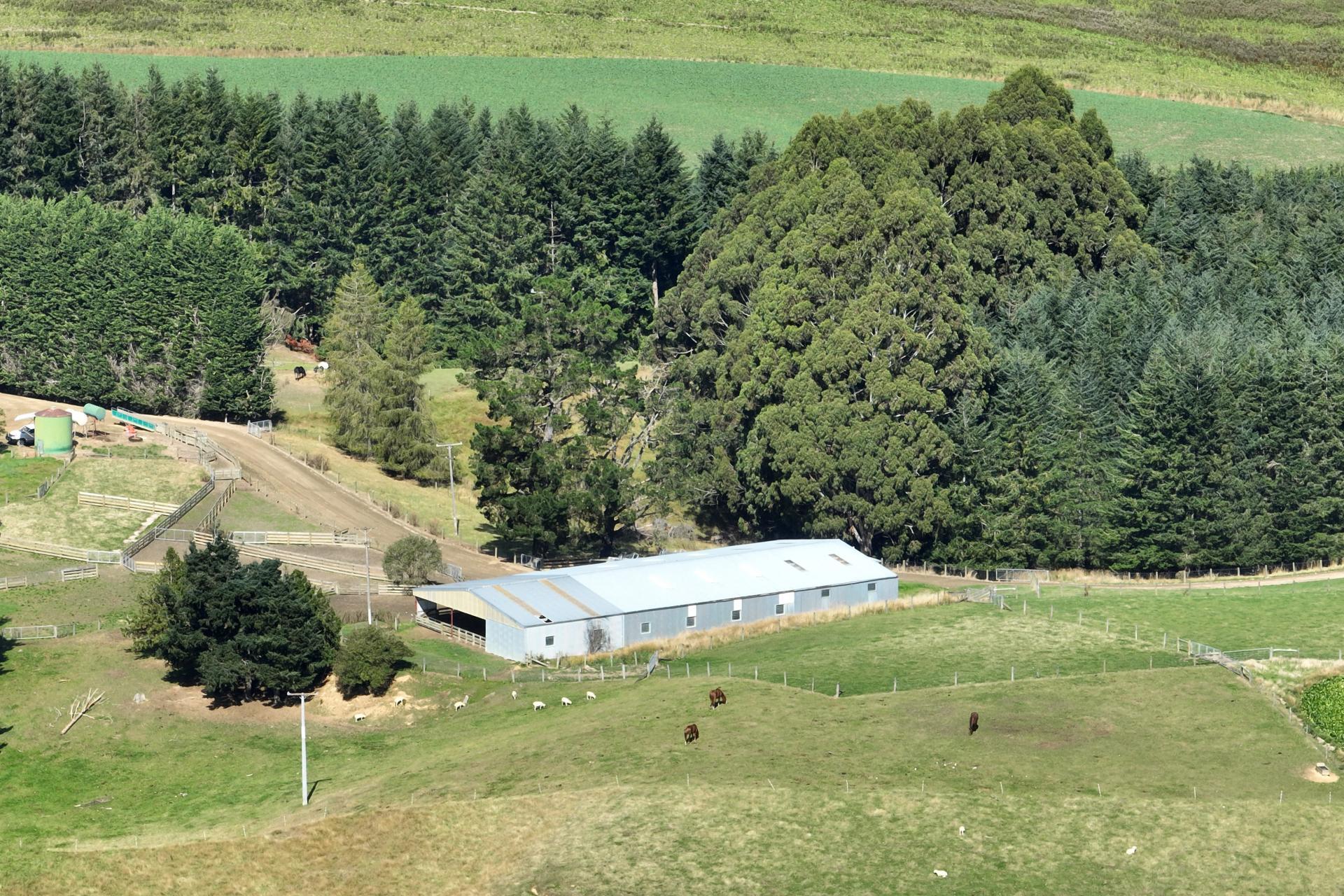 665-901 Tima Burn Road, Teviot