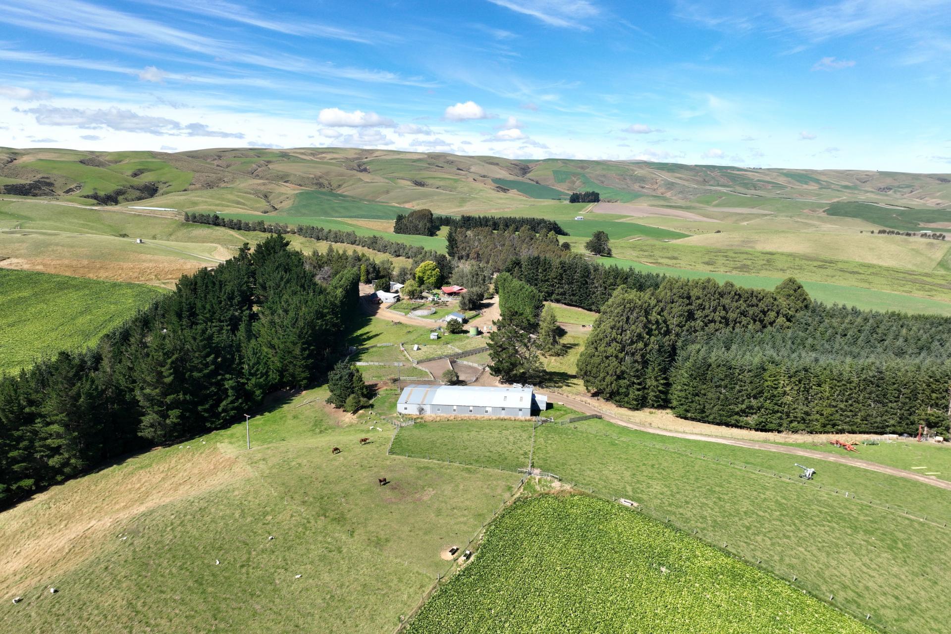 665-901 Tima Burn Road, Teviot