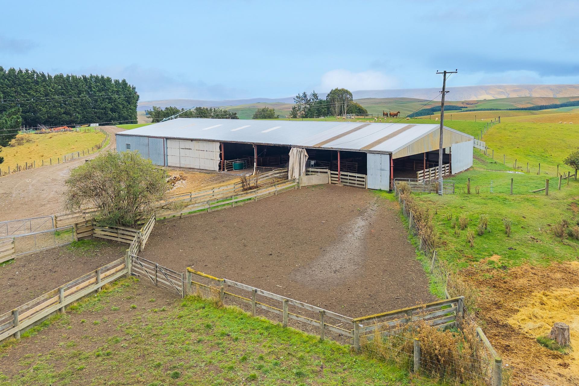 665-901 Tima Burn Road, Teviot