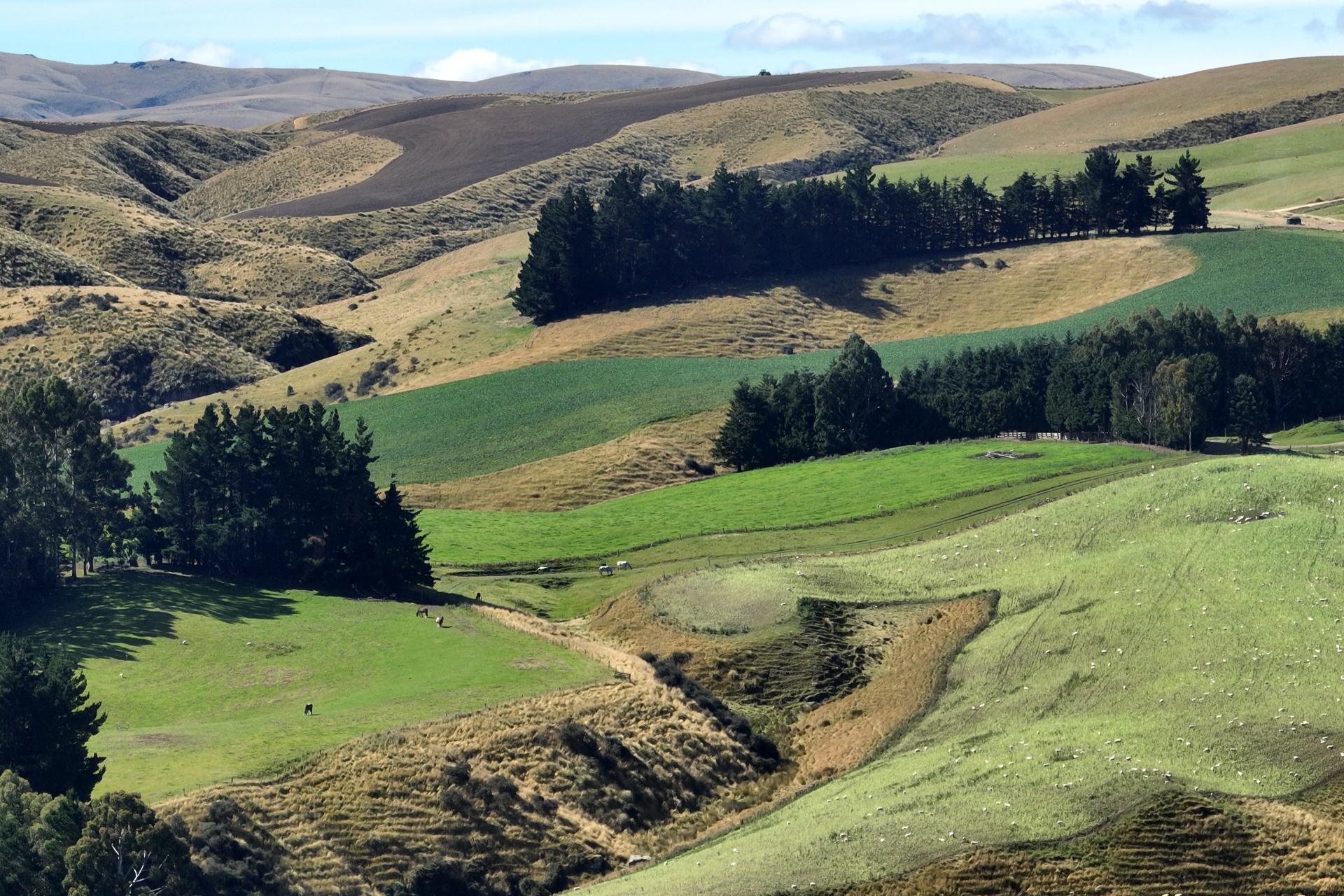 665-901 Tima Burn Road, Teviot