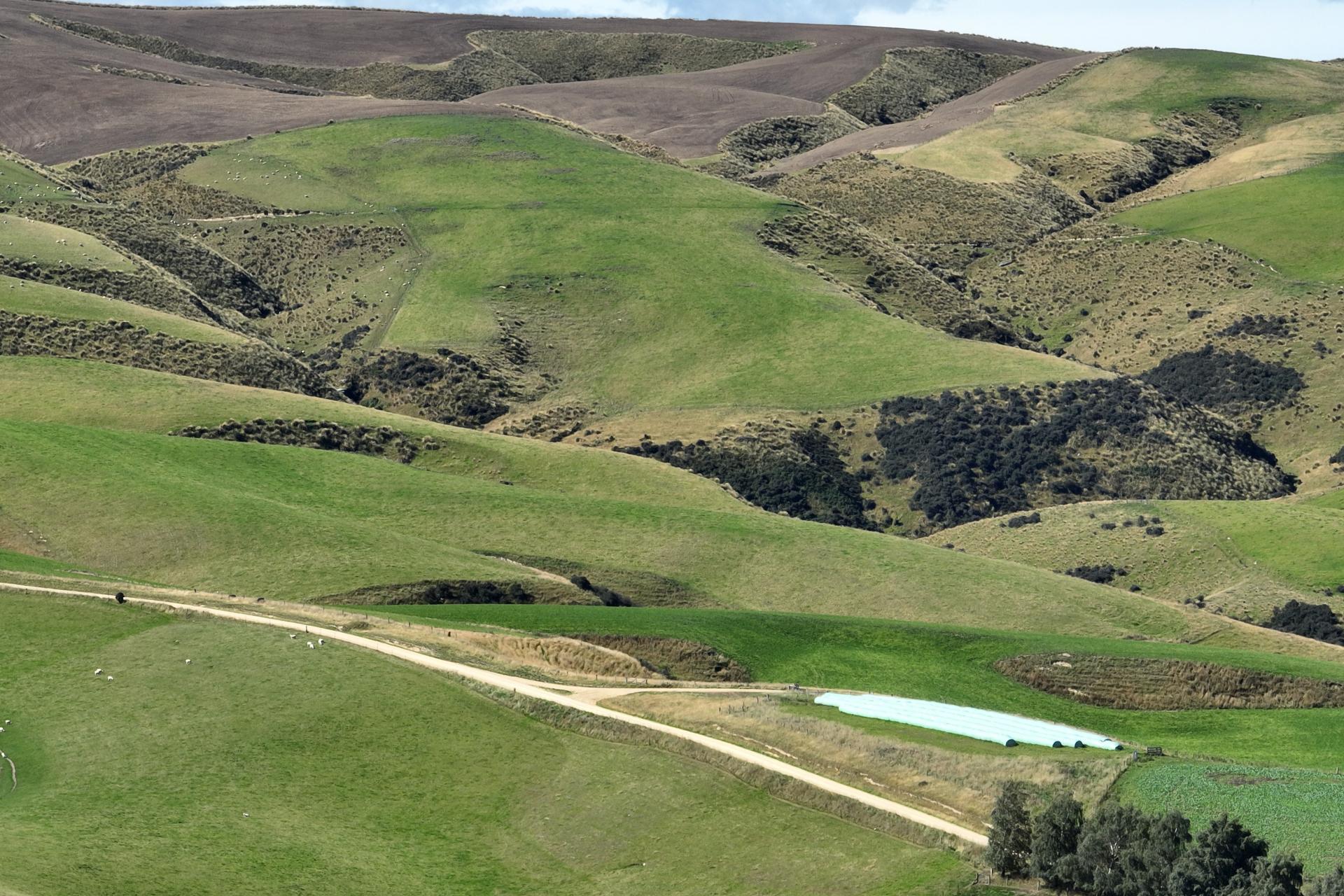 665-901 Tima Burn Road, Teviot