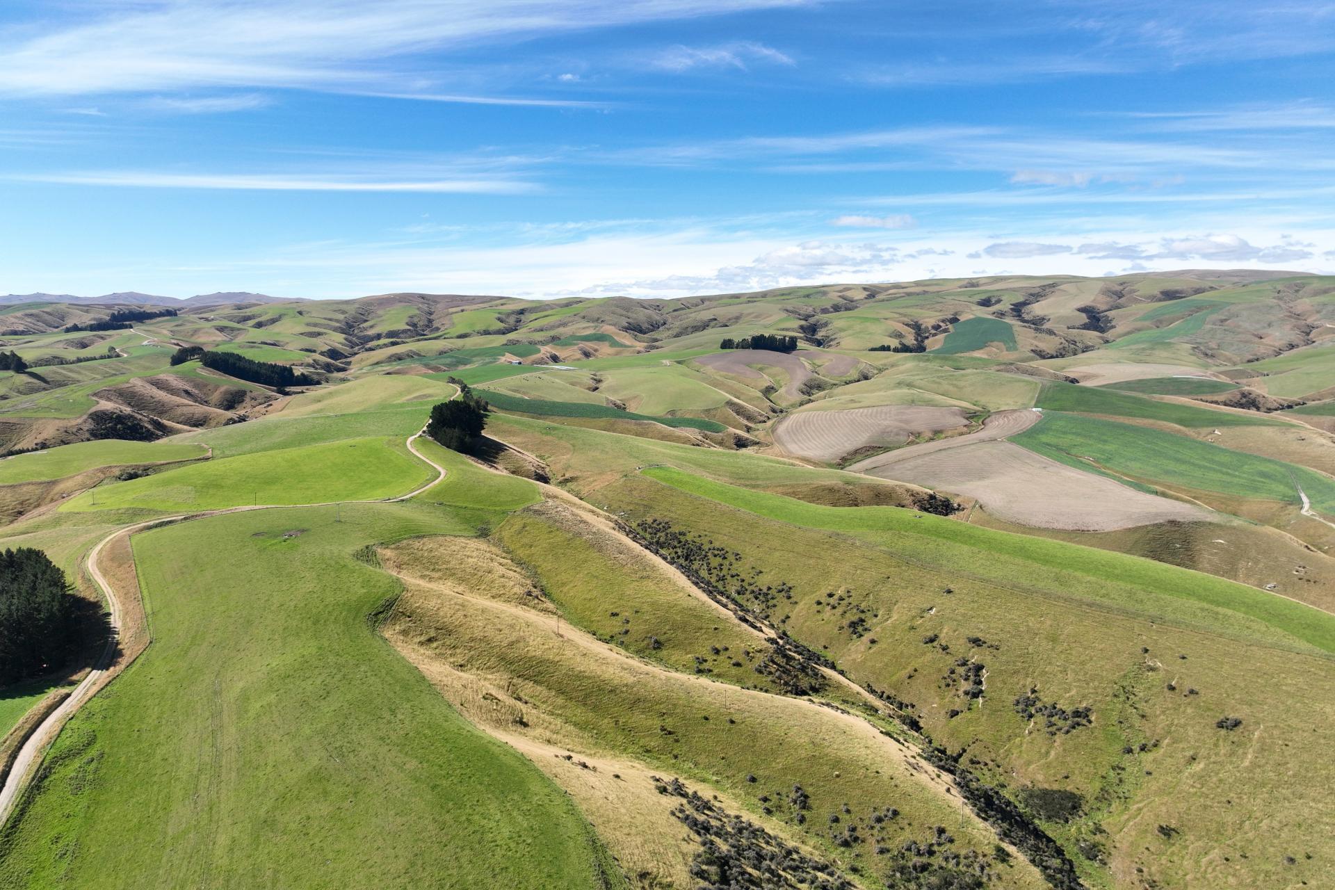 665-901 Tima Burn Road, Teviot