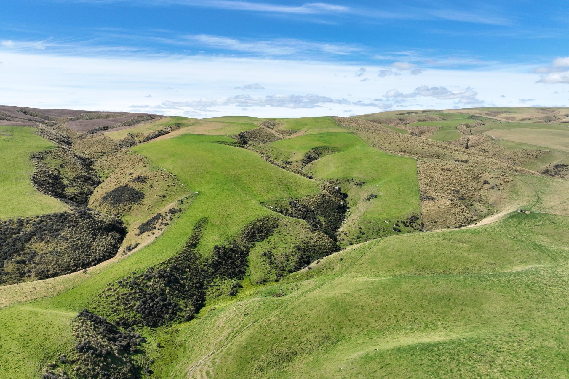 665-901 Tima Burn Road, Teviot