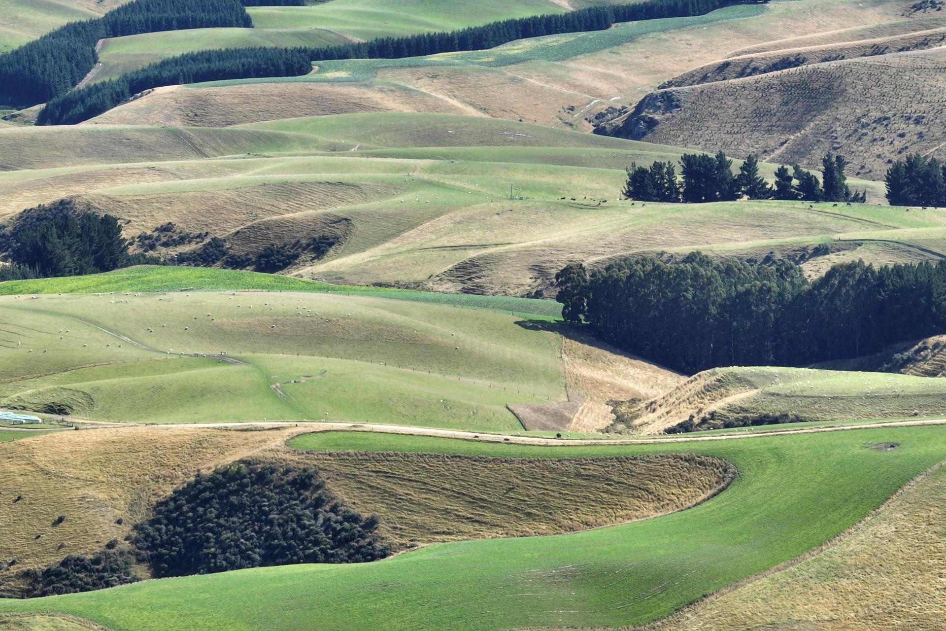 665-901 Tima Burn Road, Teviot