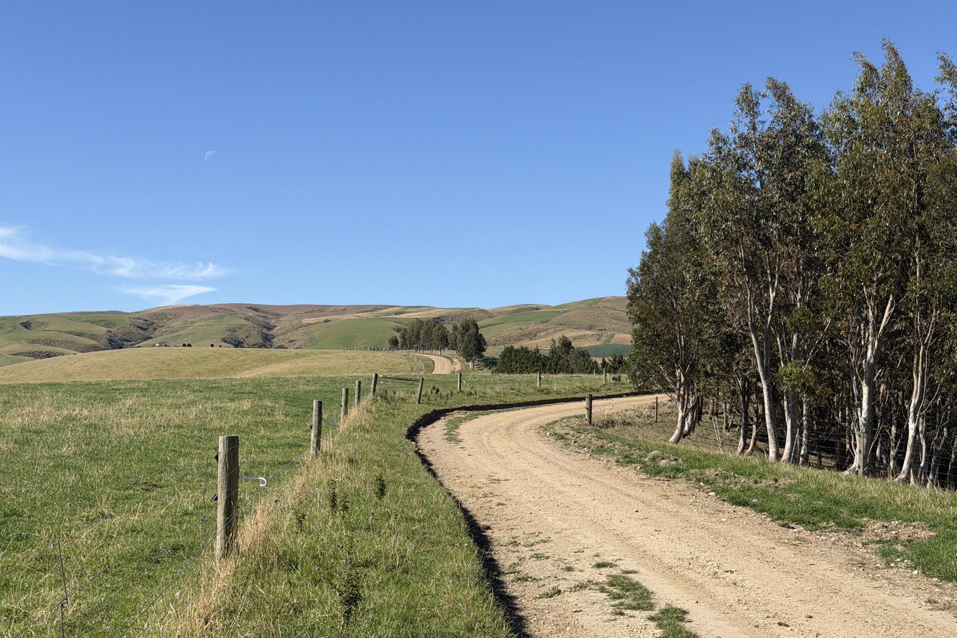 665-901 Tima Burn Road, Teviot