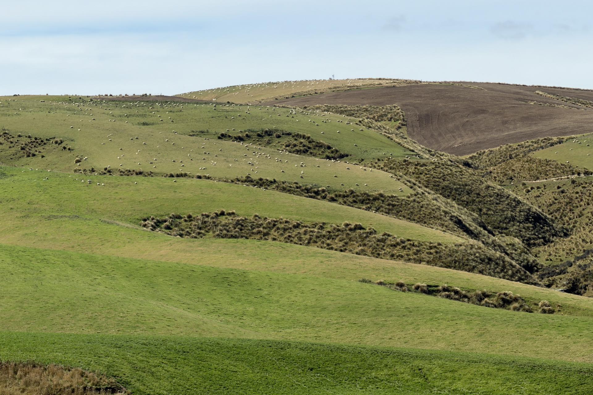 665-901 Tima Burn Road, Teviot