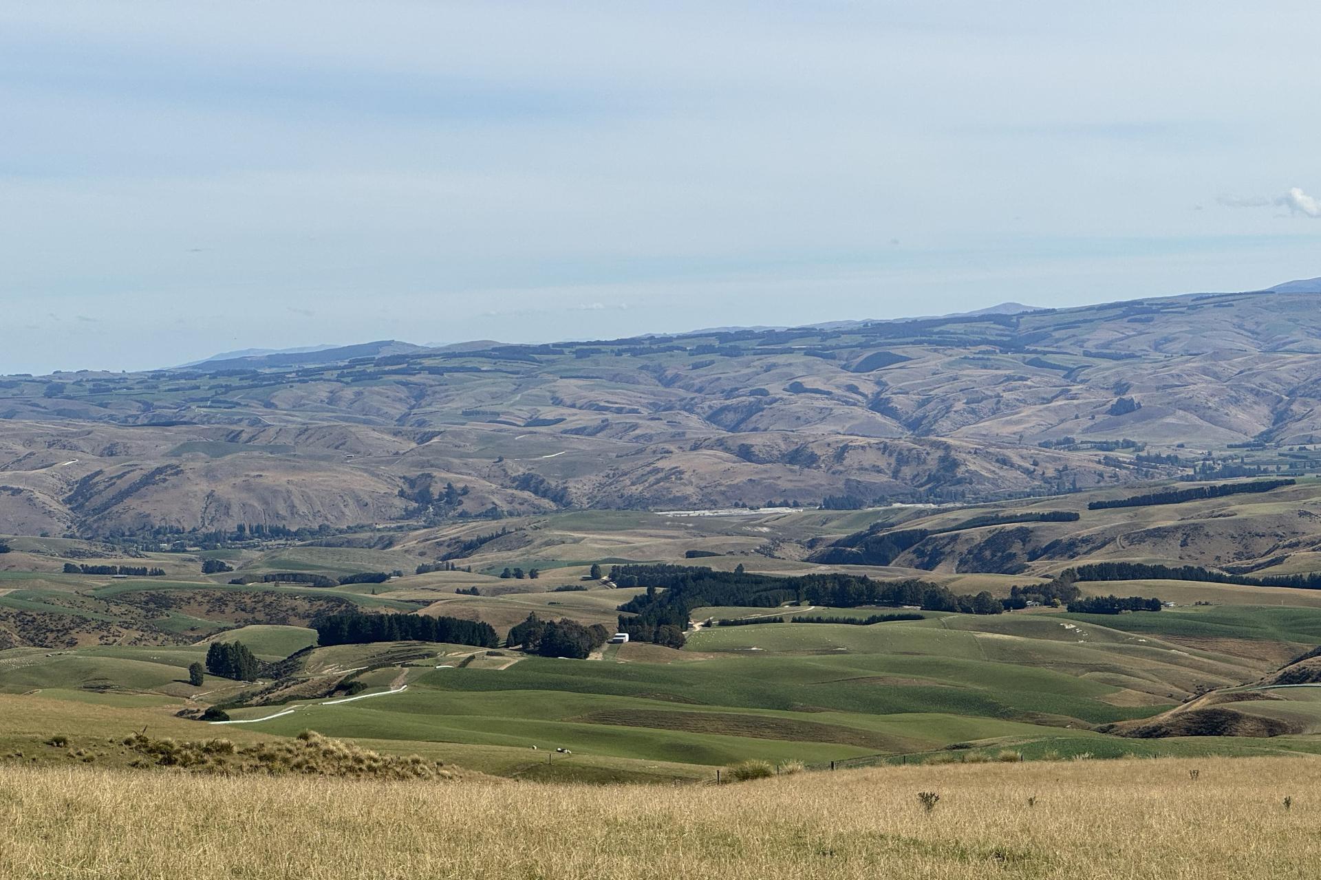 665-901 Tima Burn Road, Teviot