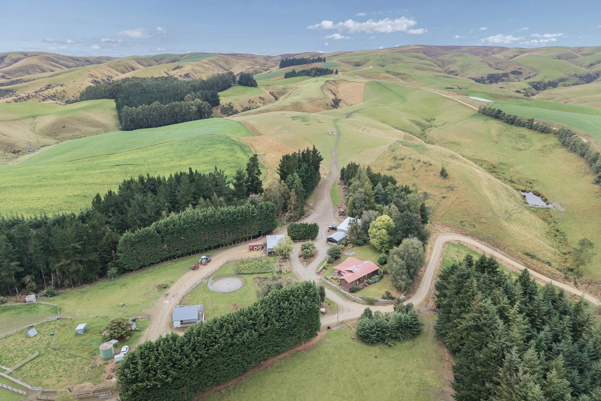 665-901 Tima Burn Road, Teviot