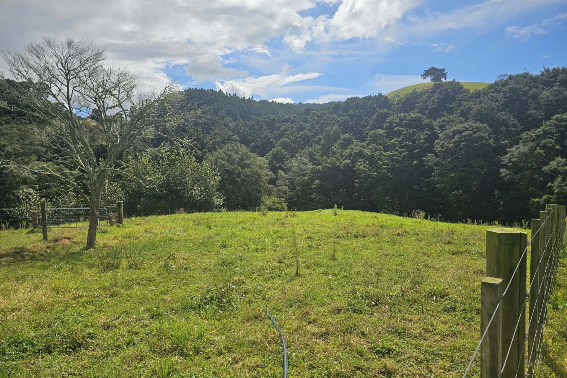 Lot 2, 675 Gorge Road, Maungaturoto