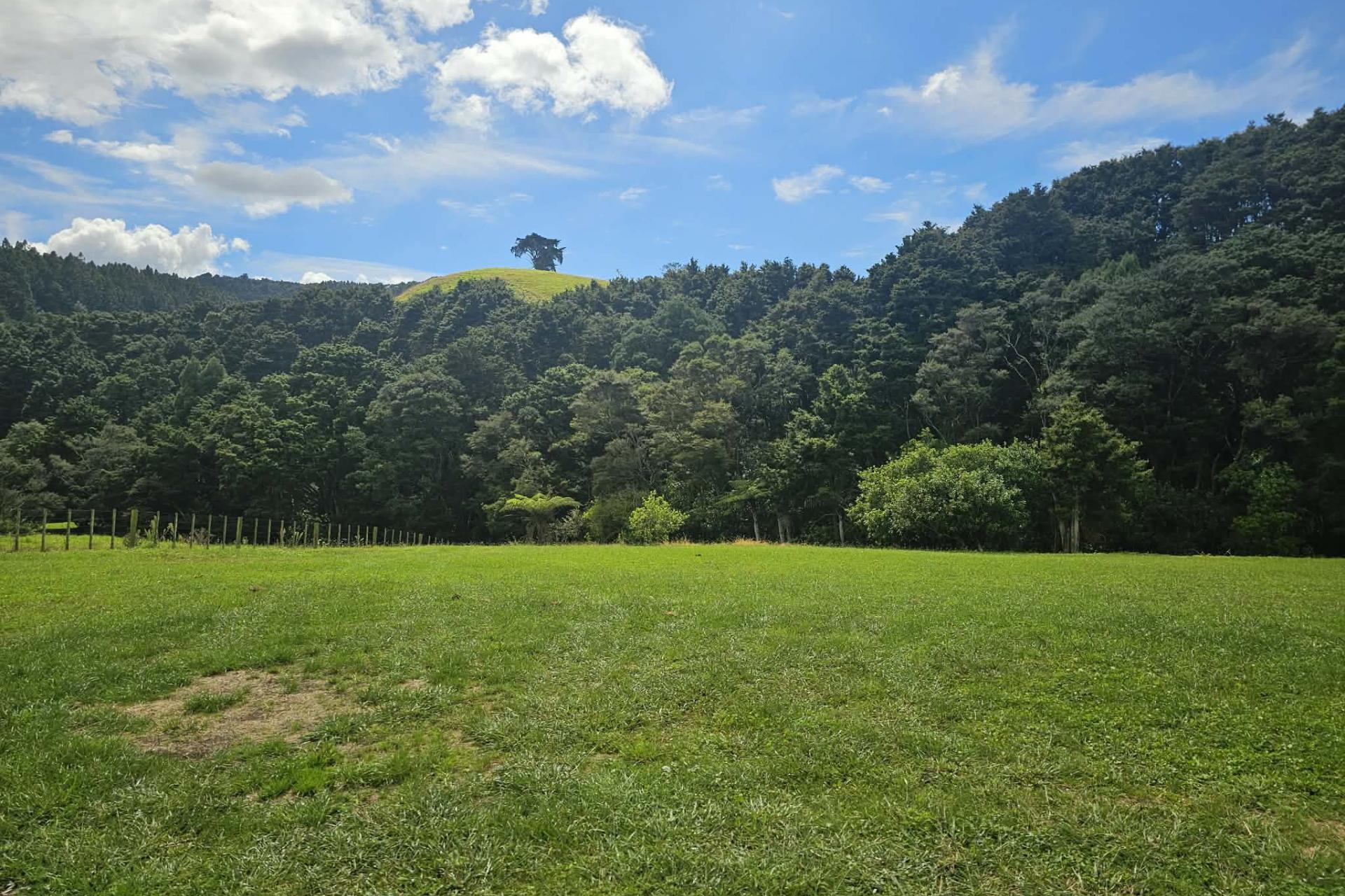 Lot 2, 675 Gorge Road, Maungaturoto
