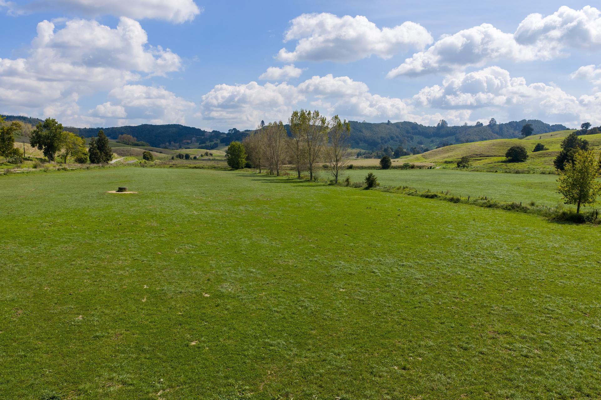 95 Mason Road, Maromaku