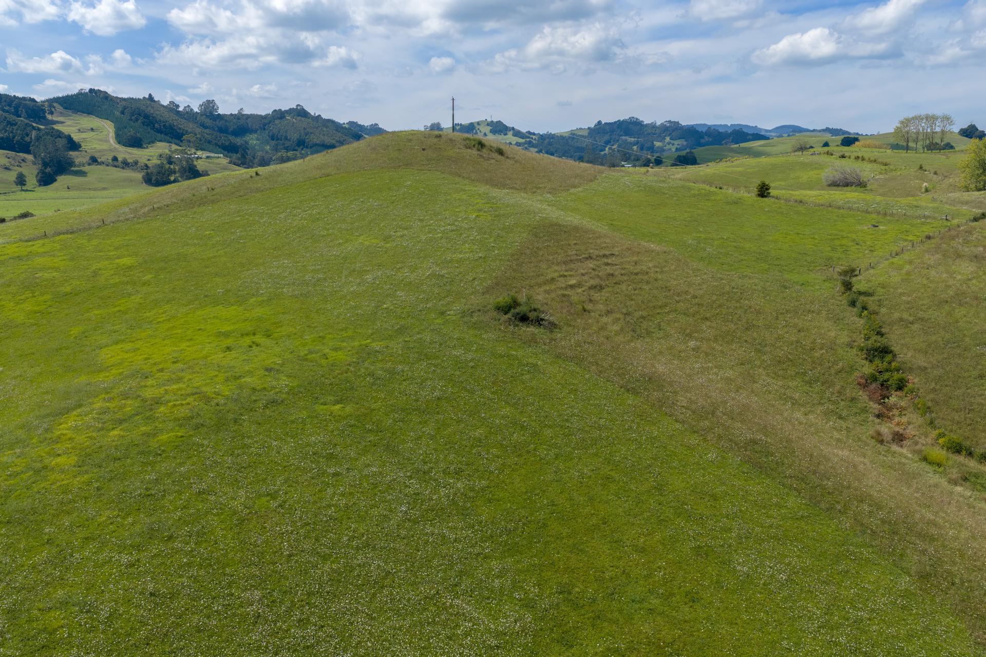 Lot 1 Mason Road, Maromaku