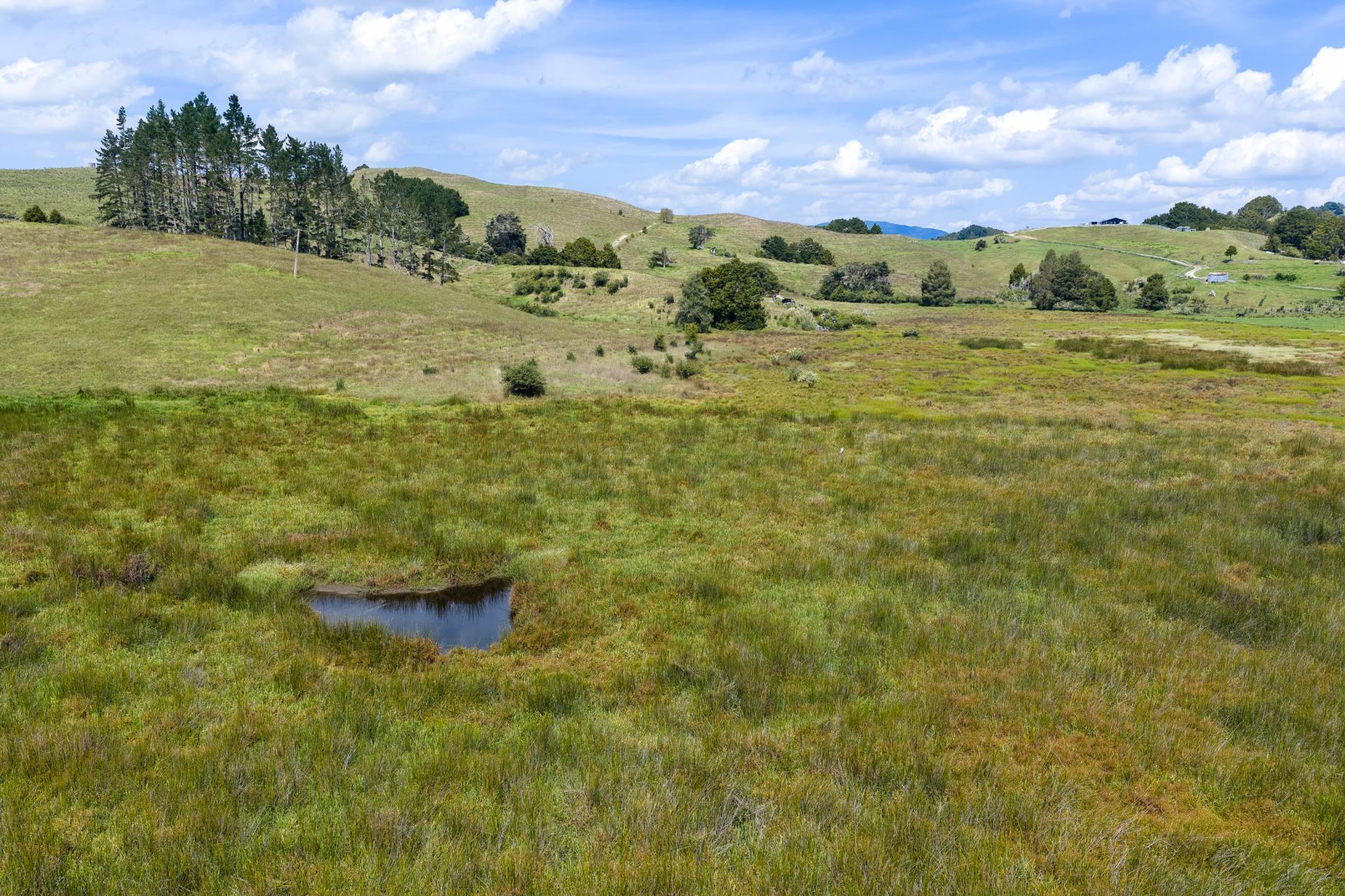 Lot 1 Mason Road, Maromaku