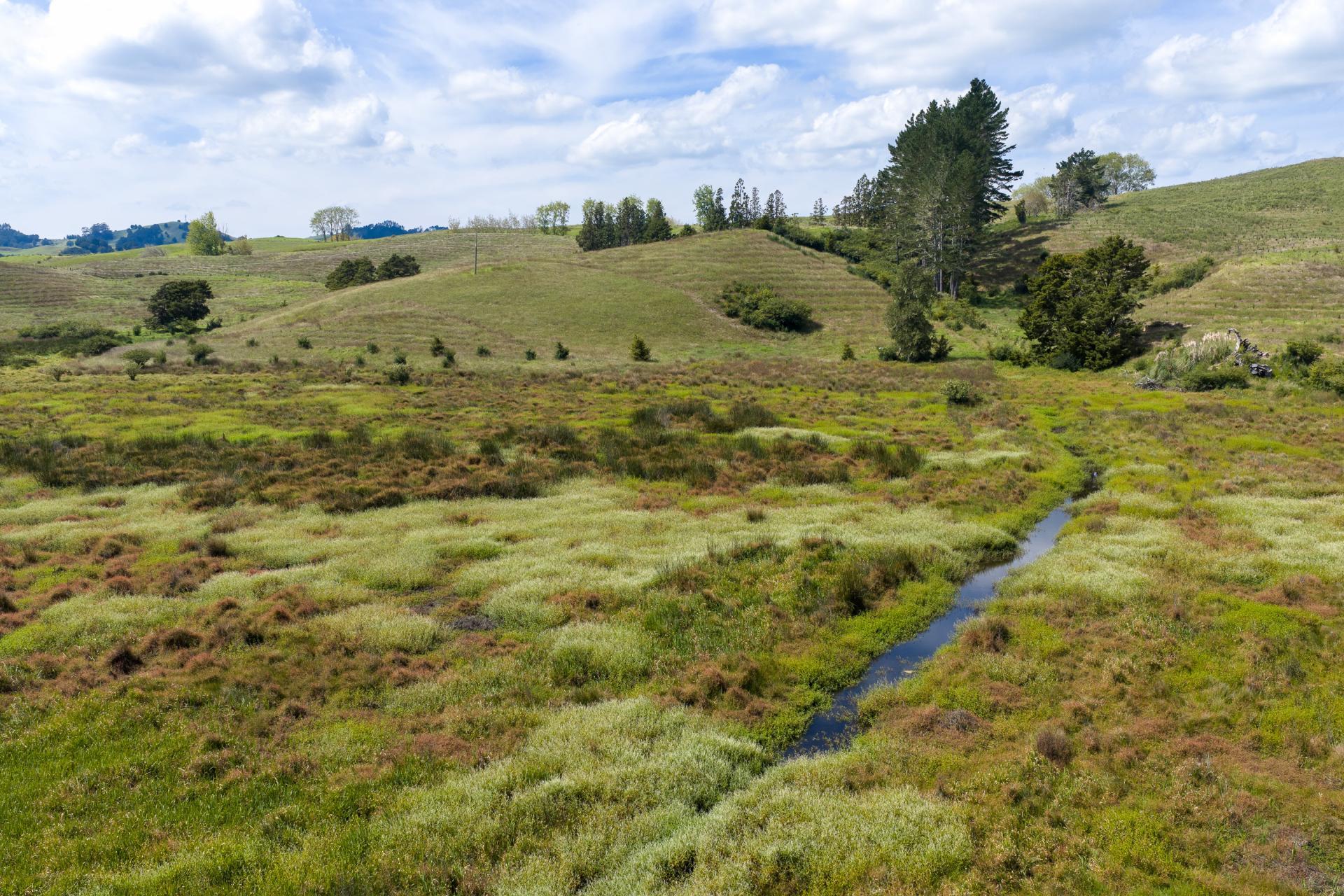 Lot 1 Mason Road, Maromaku
