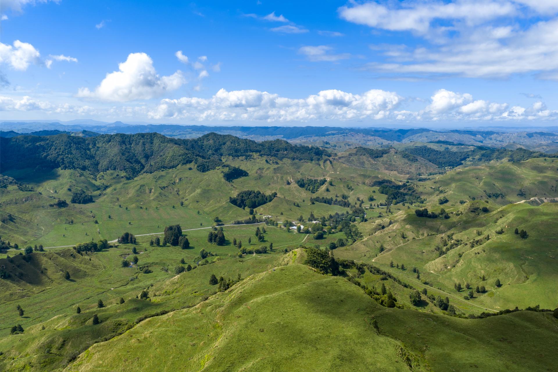 1221 Waitewhena Road, Taumarunui