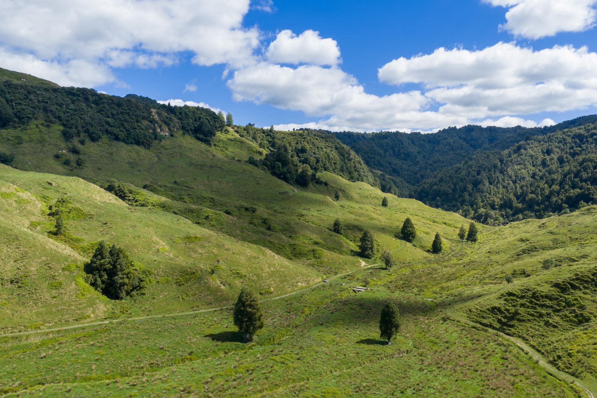 1221 Waitewhena Road, Taumarunui