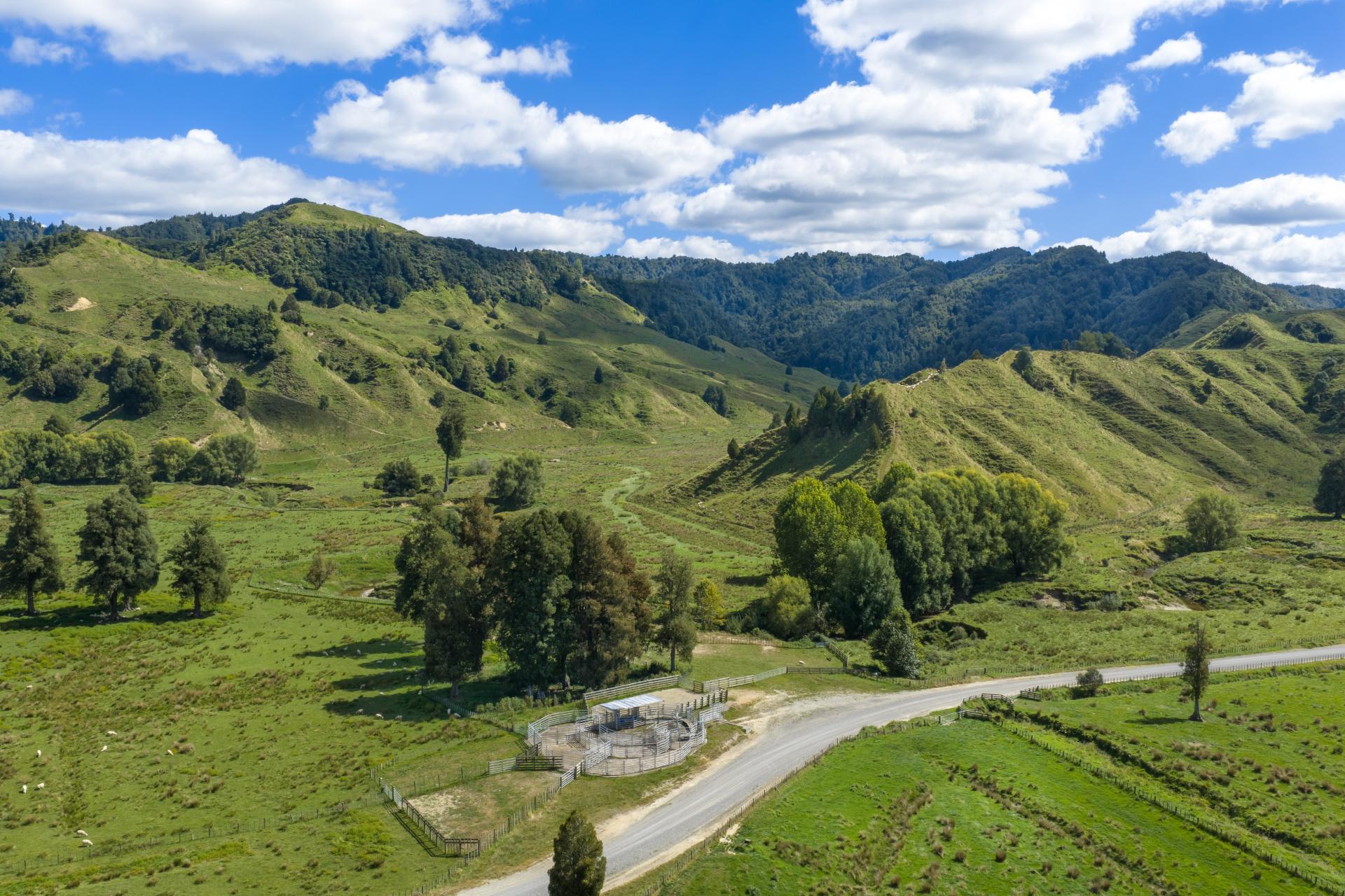 1221 Waitewhena Road, Taumarunui