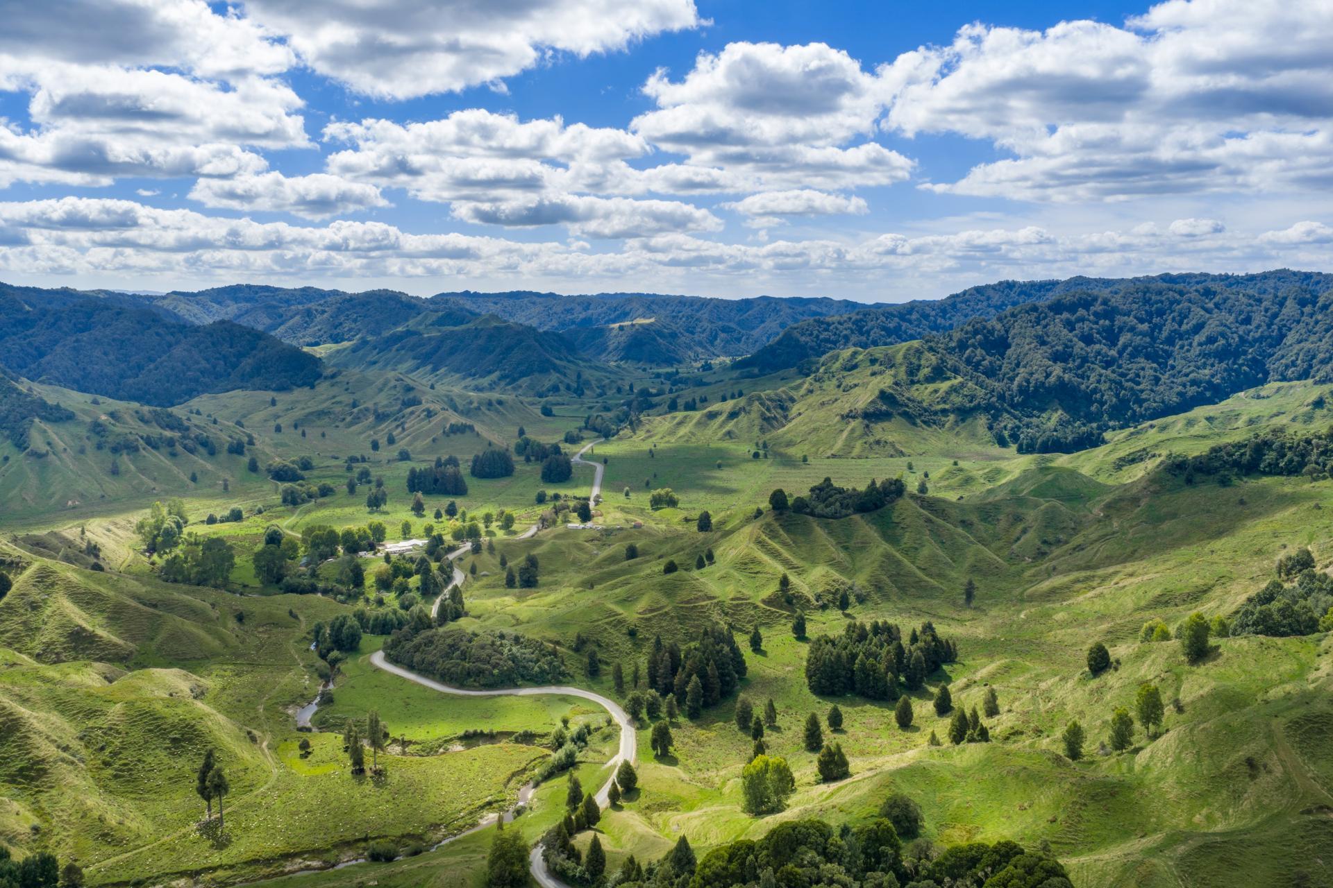 1221 Waitewhena Road, Taumarunui