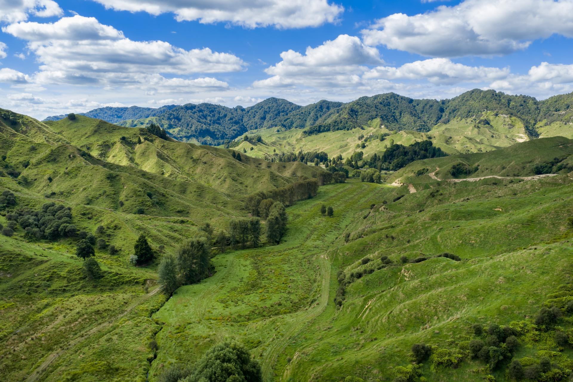 1221 Waitewhena Road, Taumarunui