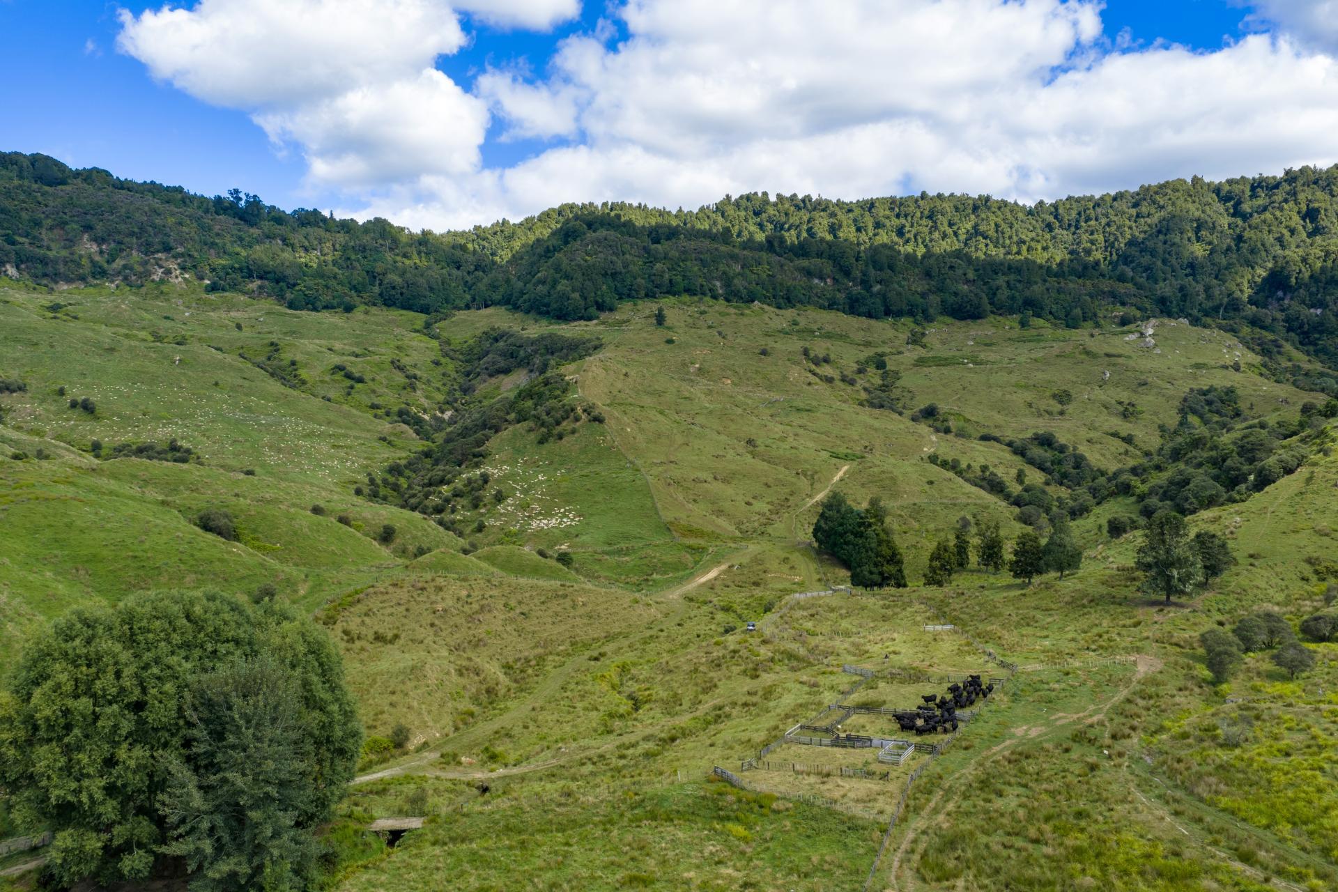 1221 Waitewhena Road, Taumarunui