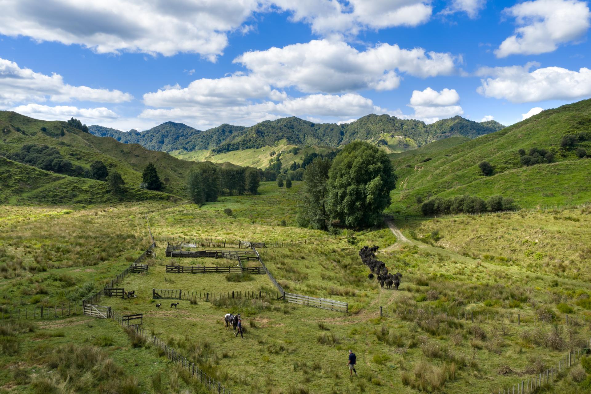 1221 Waitewhena Road, Taumarunui