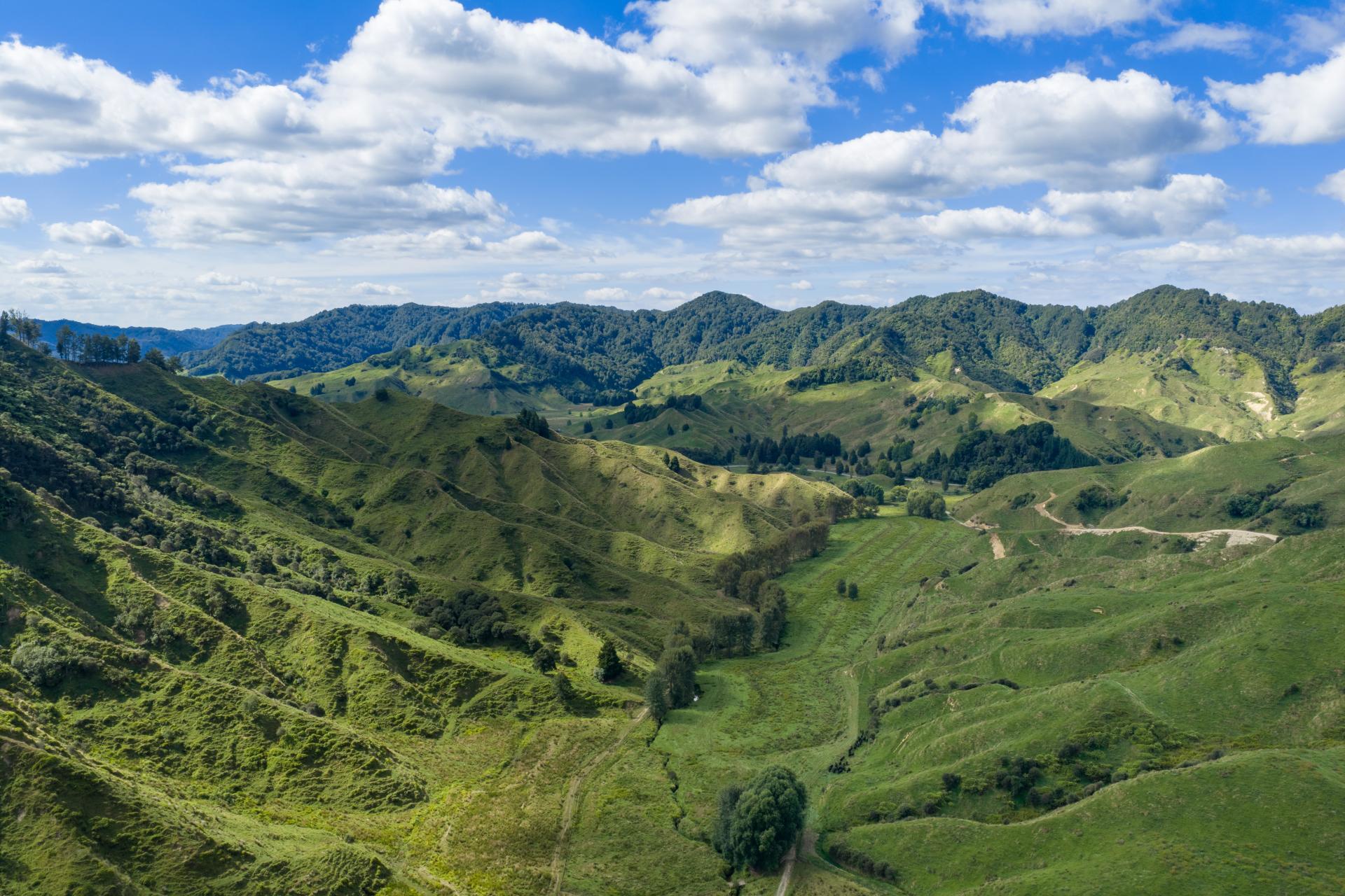 1221 Waitewhena Road, Taumarunui