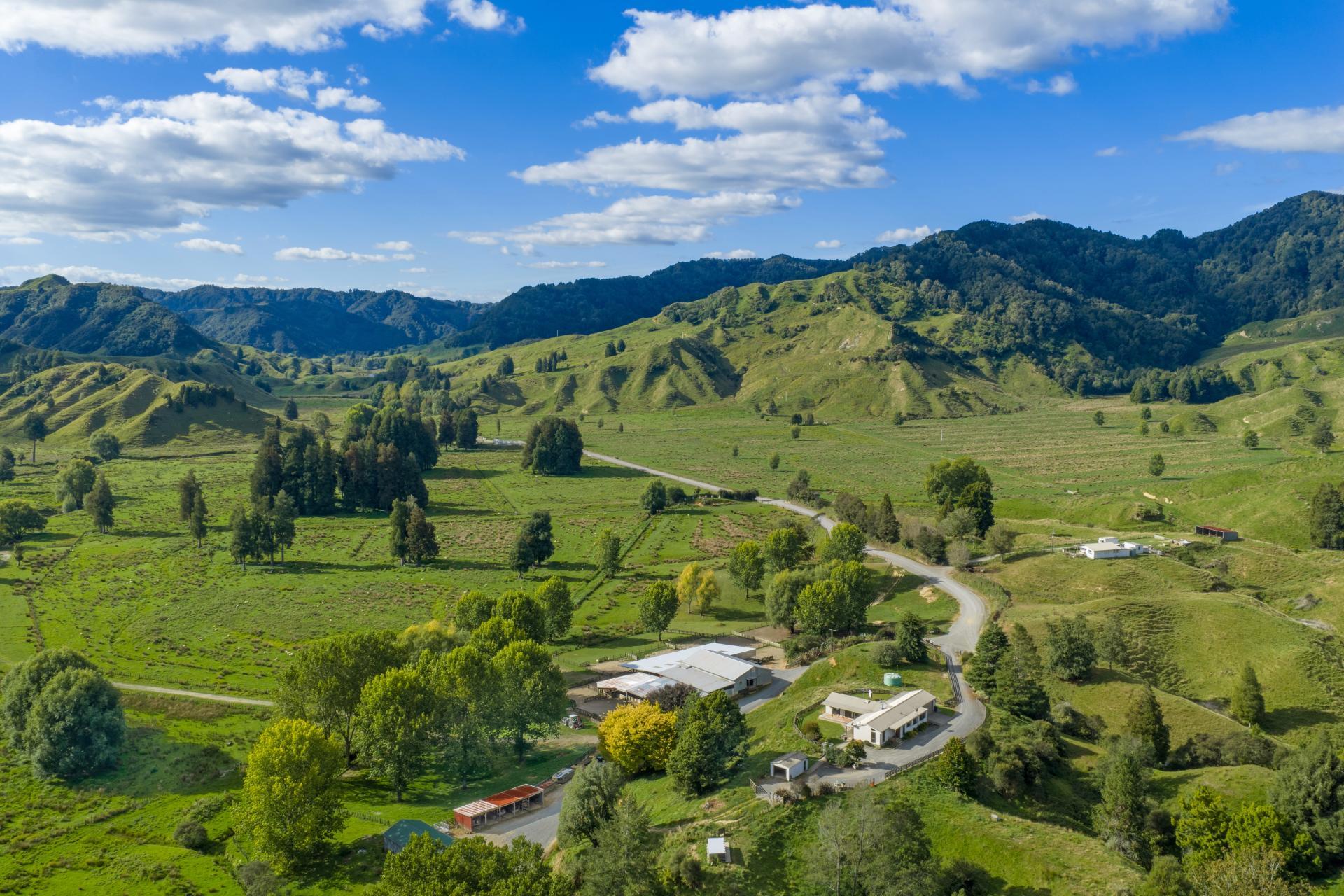 1221 Waitewhena Road, Taumarunui