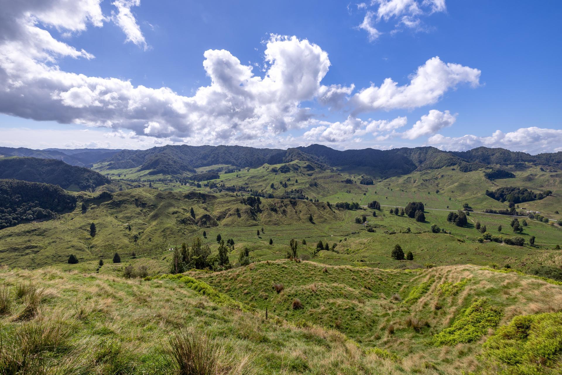 1221 Waitewhena Road, Taumarunui