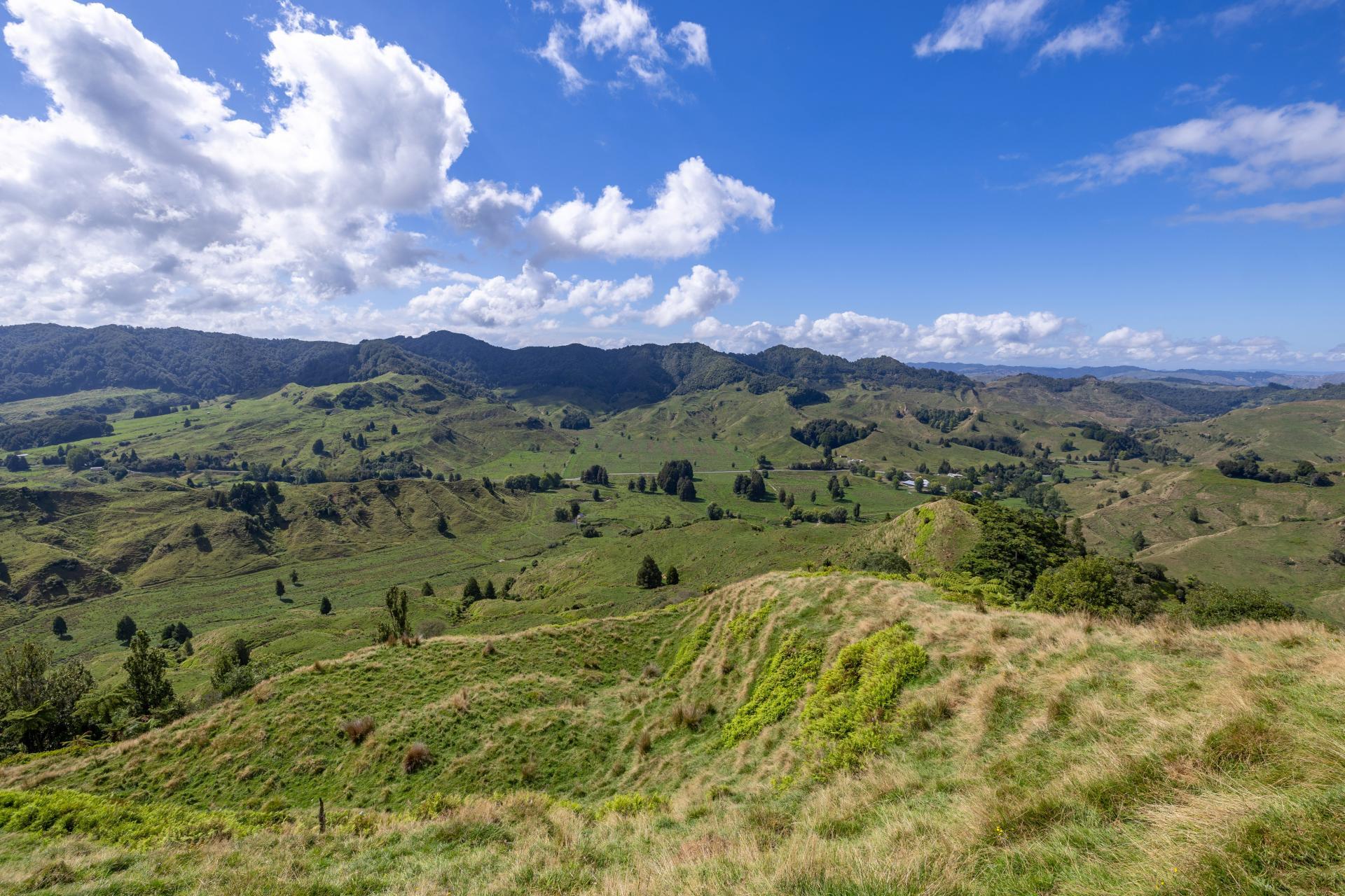 1221 Waitewhena Road, Taumarunui