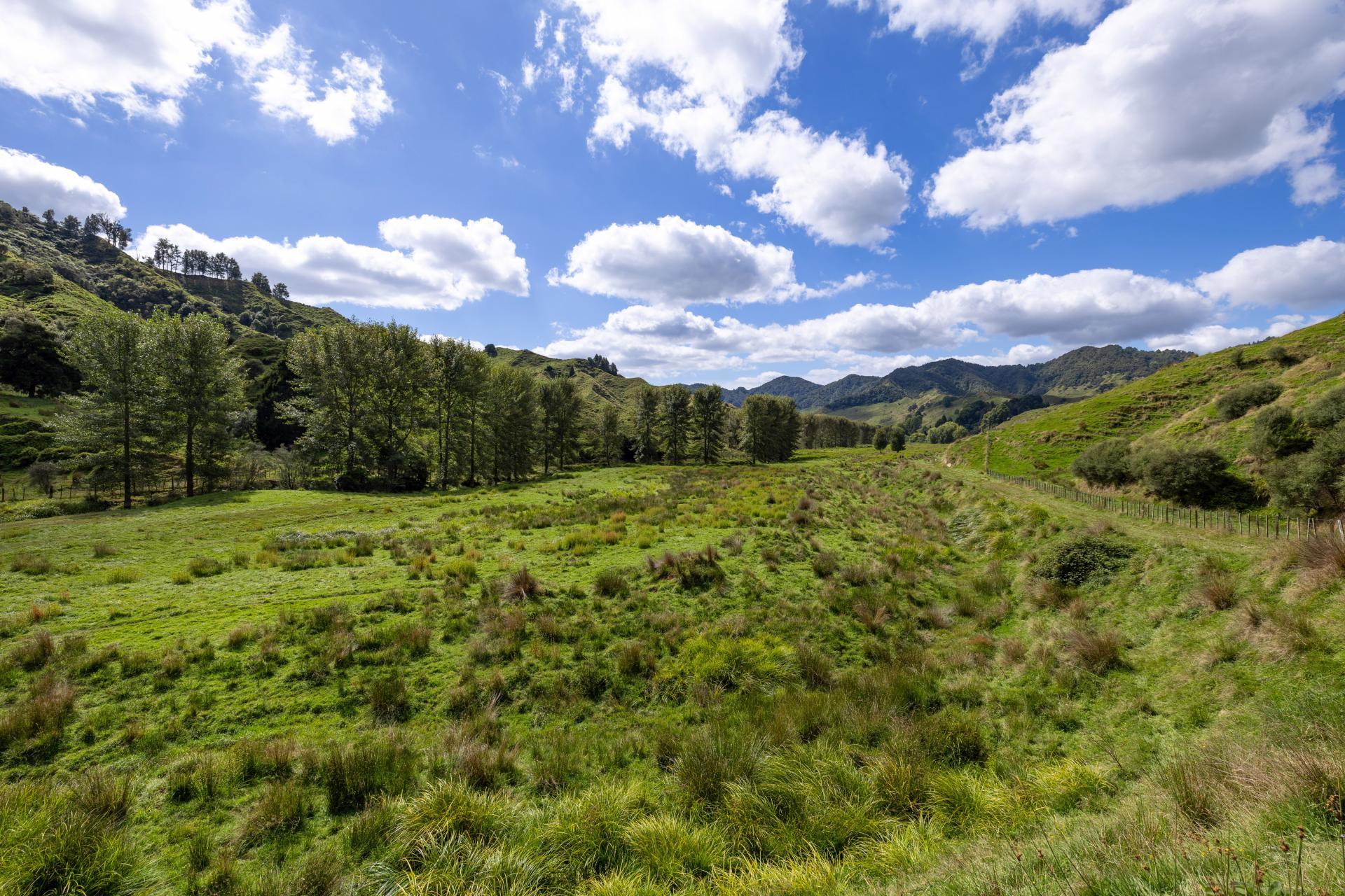 1221 Waitewhena Road, Taumarunui
