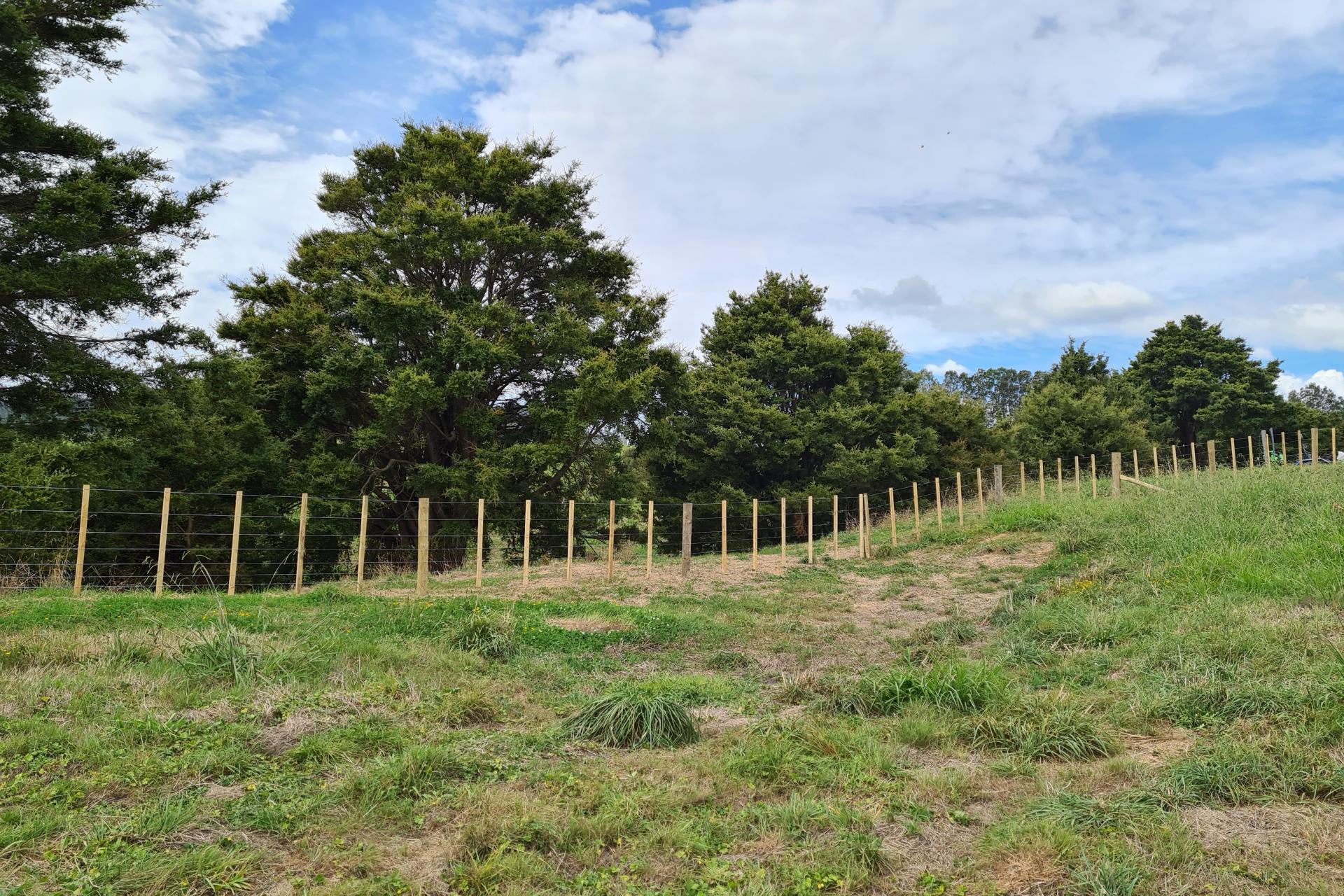 Lot 1, Dodd Road, Maungaturoto