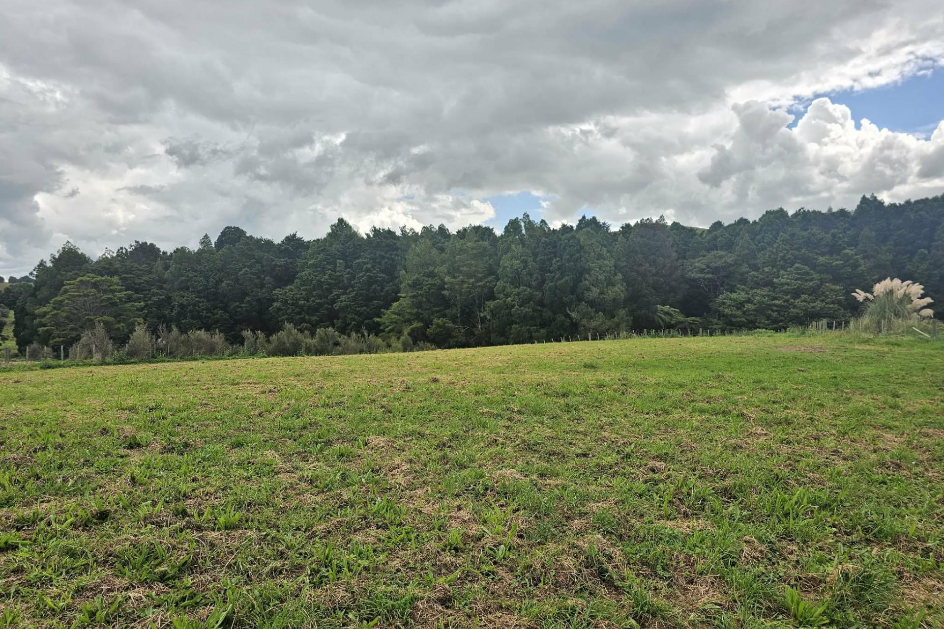 Lot 1, Dodd Road, Maungaturoto